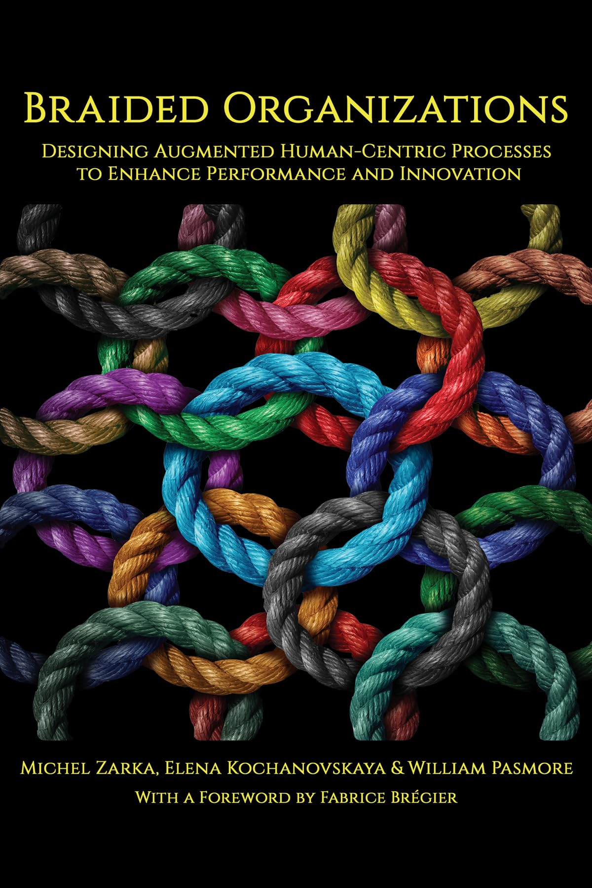 Braided Organizations book