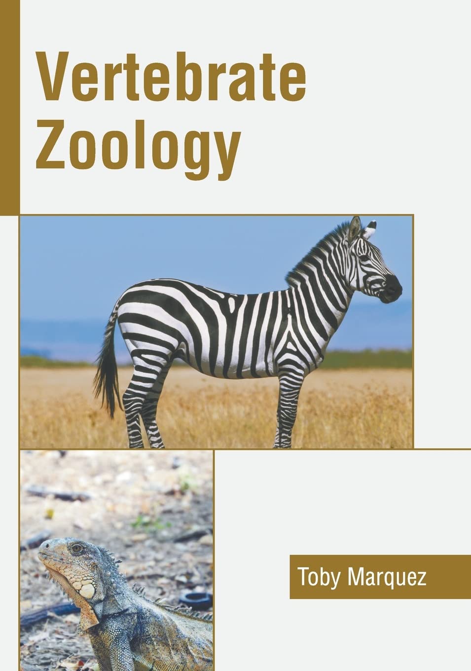 Product Image: Vertebrate Zoology