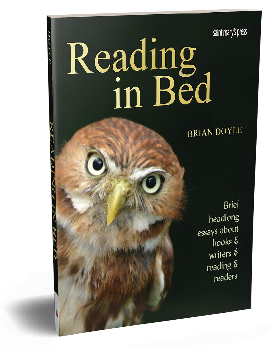 Reading in Bed 2nd Edition: Bried Headlong Essays about Books & Writers & Reading & Readers Contemporary literature