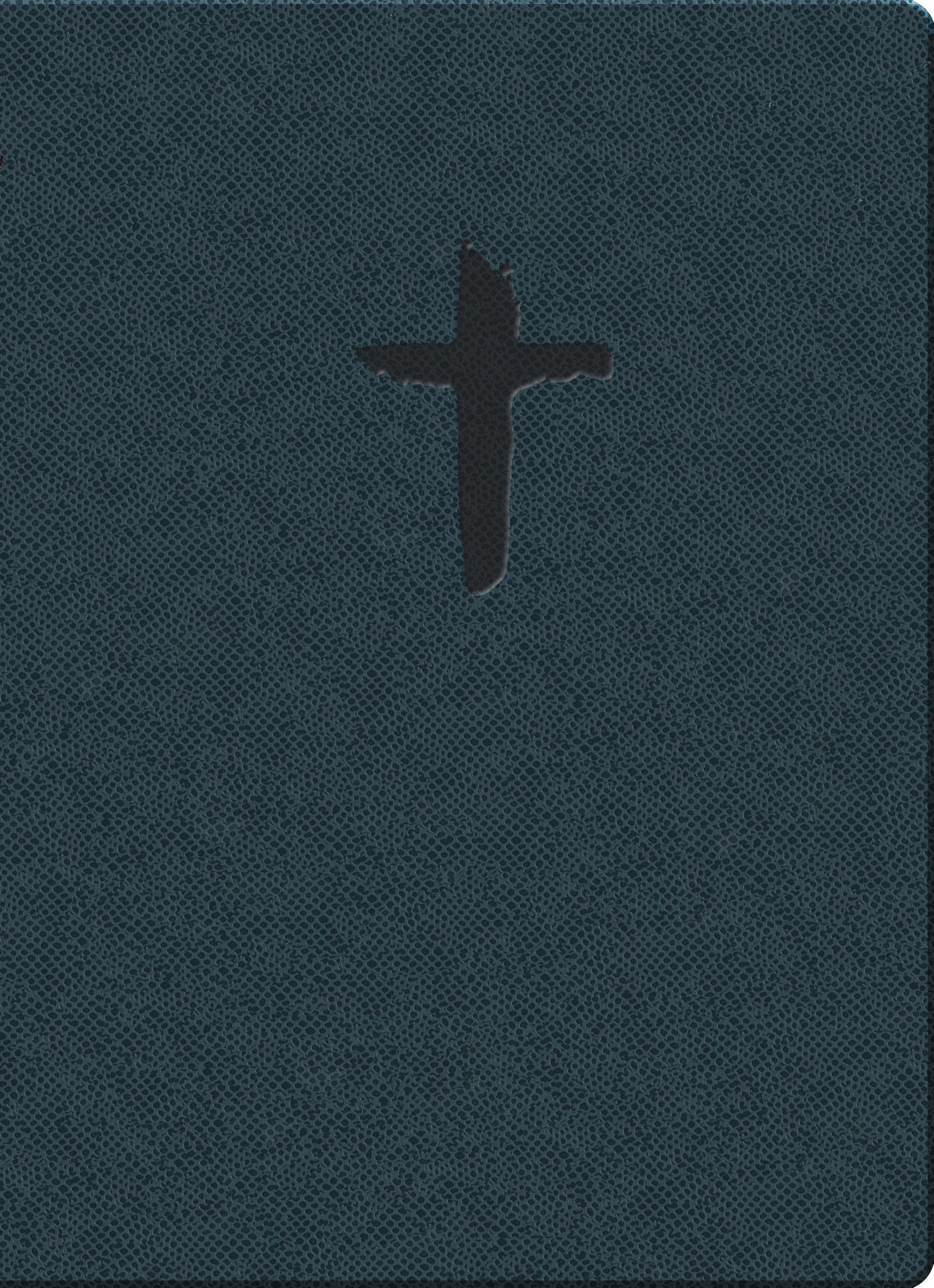 Holy Bible: King James Version Easy Read, Blue Reptile, Imitation Leather, Gift & Award, Thinline book