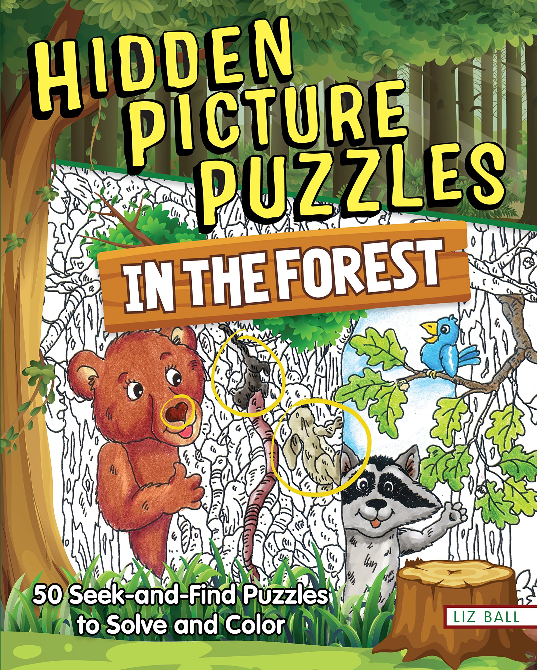 Hidden Picture Puzzles in the Forest: 50 Seek-and-find Puzzles to Solve and Color Novels & Short Stories