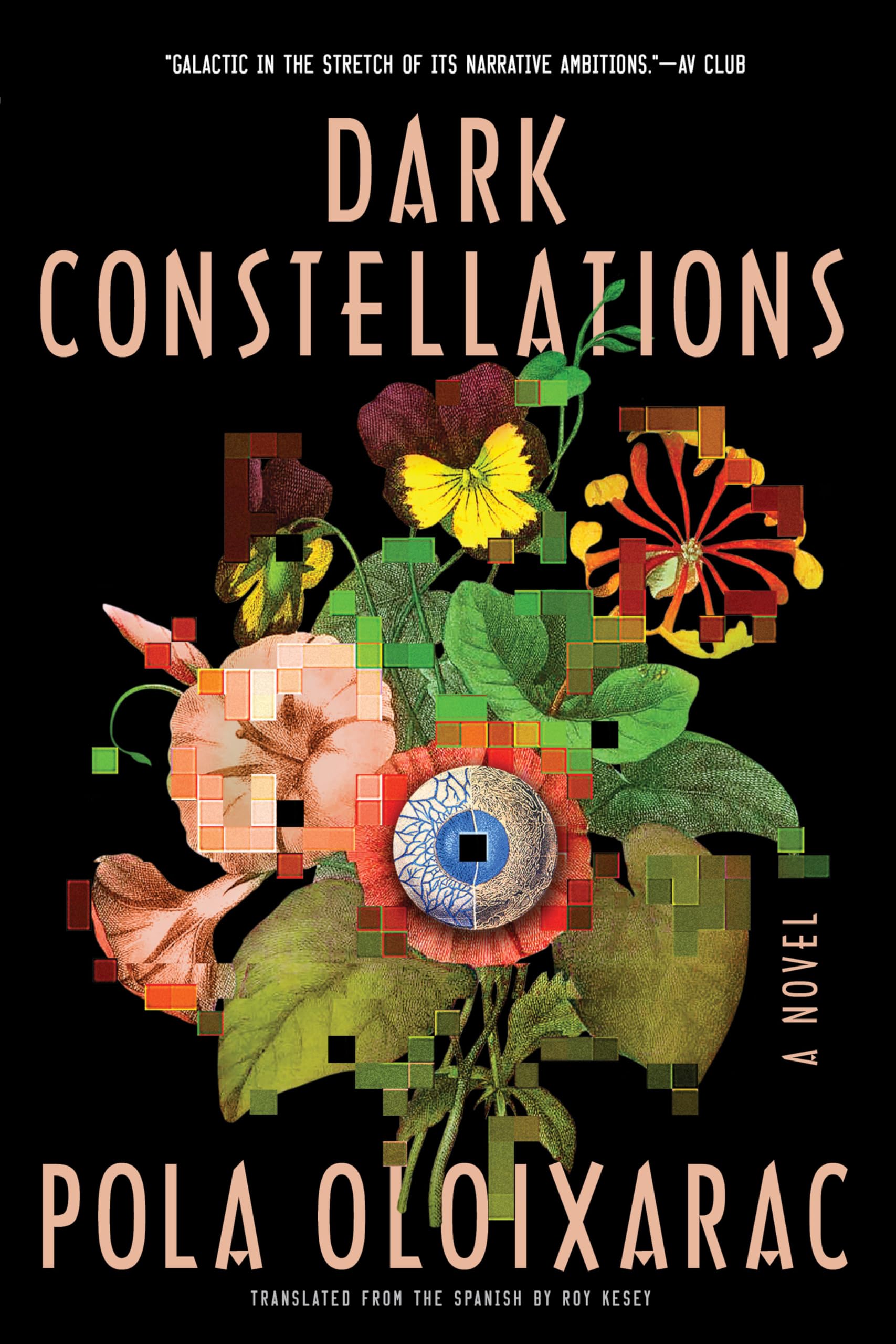 Dark Constellations Contemporary literature Books