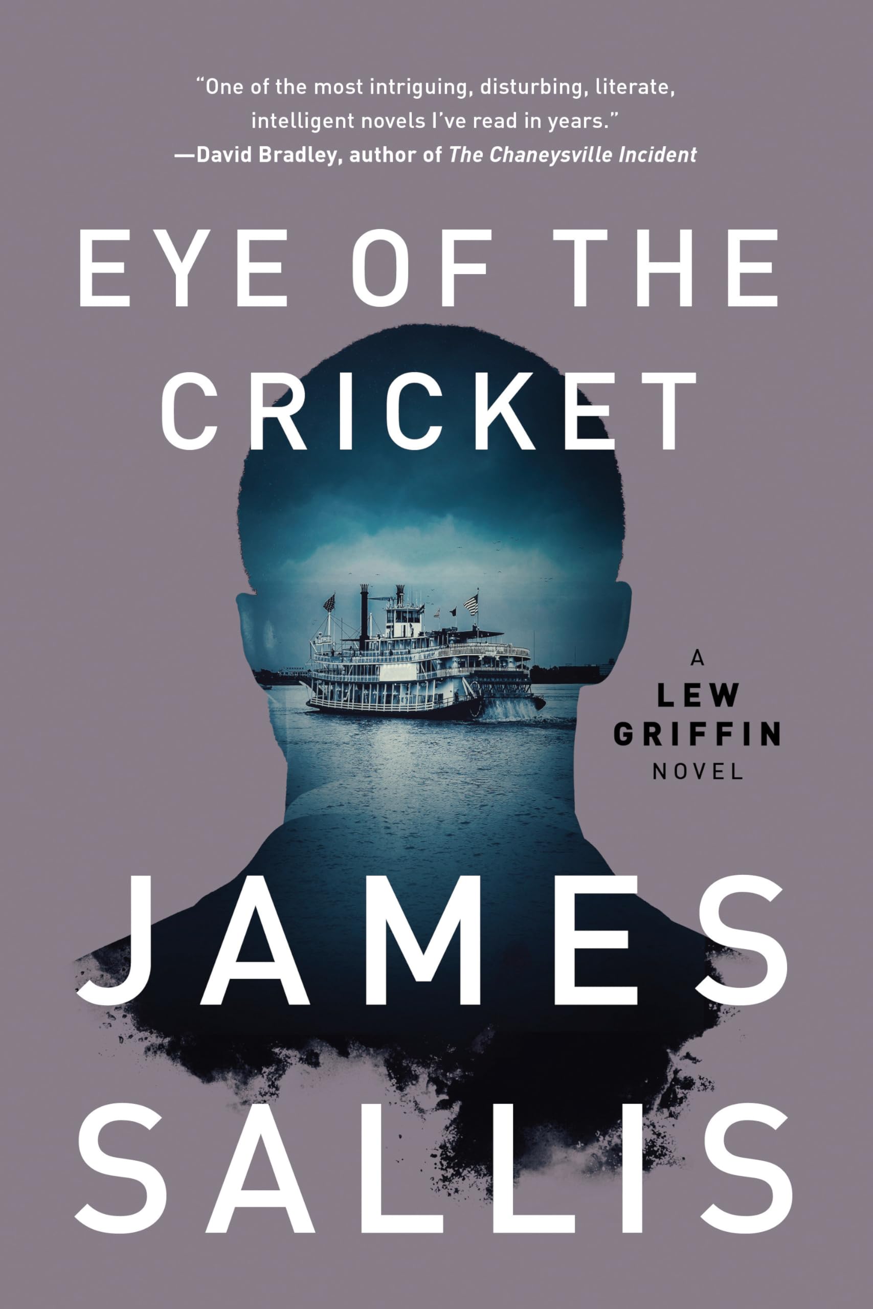Eye of the Cricket Contemporary literature