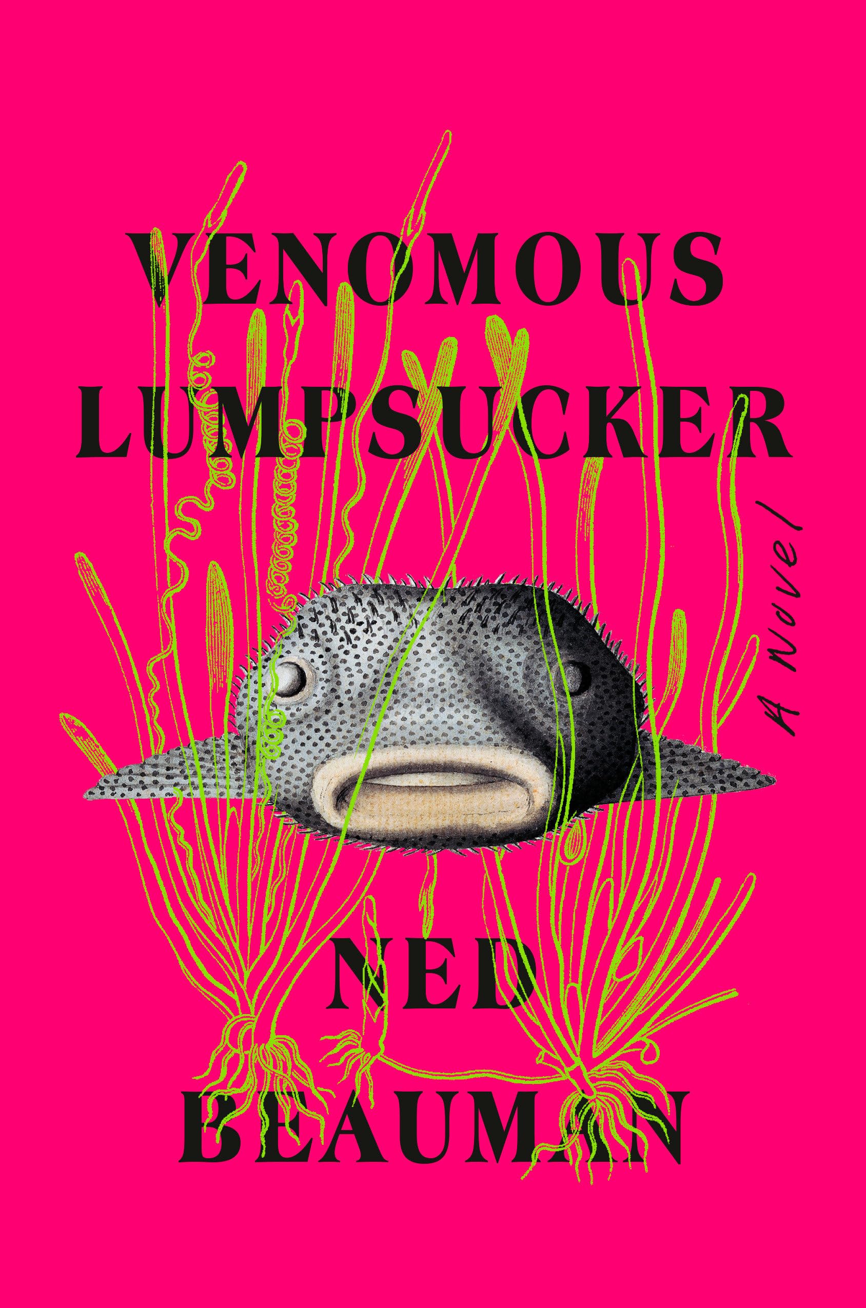 Product Image: Venomous Lumpsucker