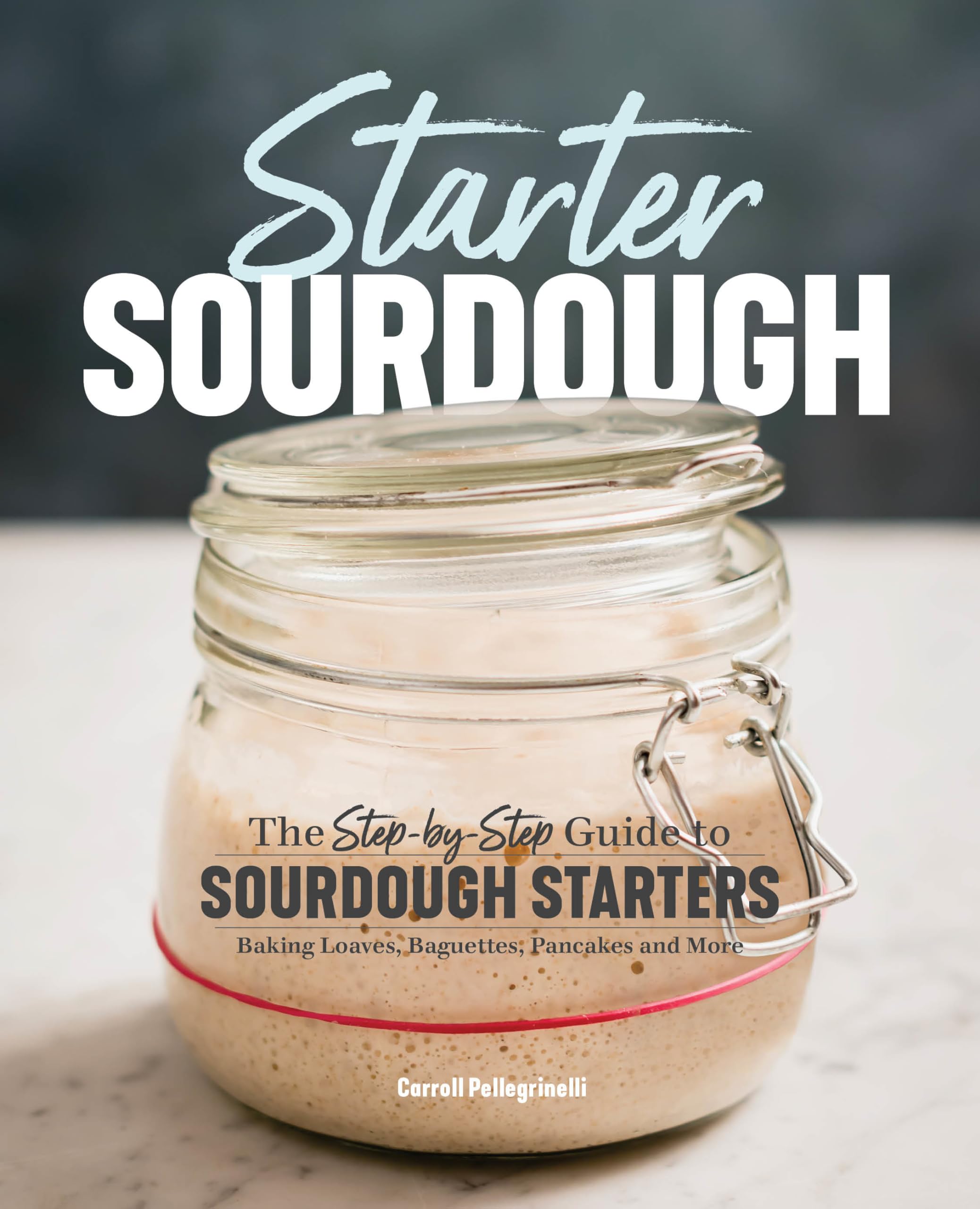 Starter Sourdough: The Step-by-Step Guide to Sourdough Starters, Baking Loaves, Baguettes, Pancakes, and More book
