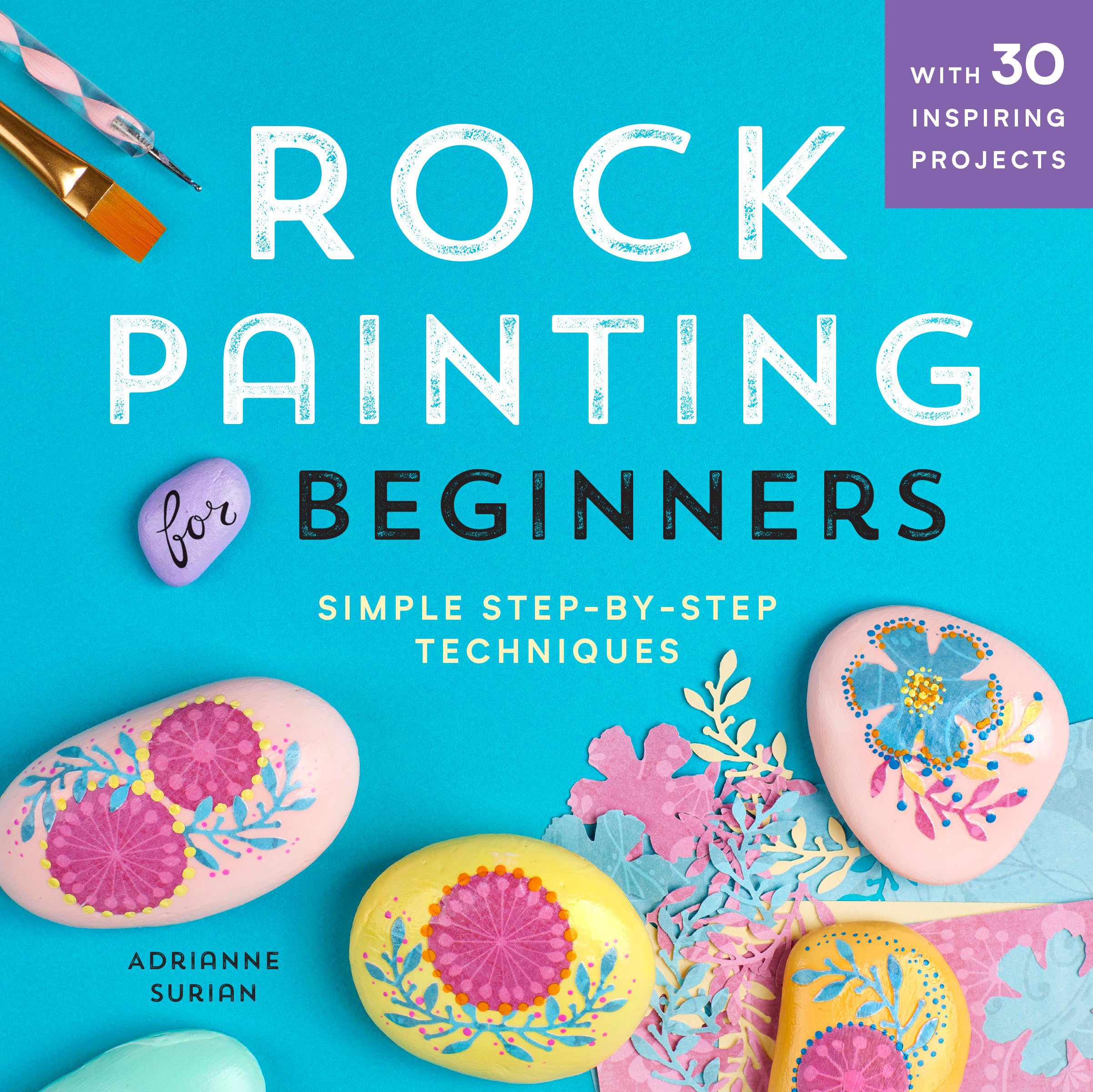 Product Image: Rock Painting For Beginners