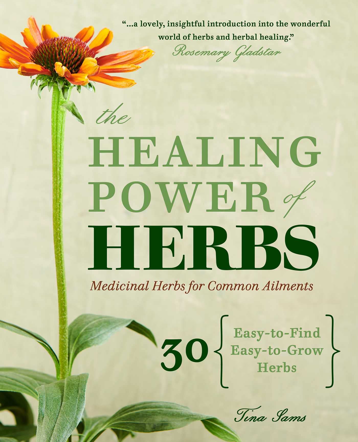 The Healing Power of Herbs Garden & Plants