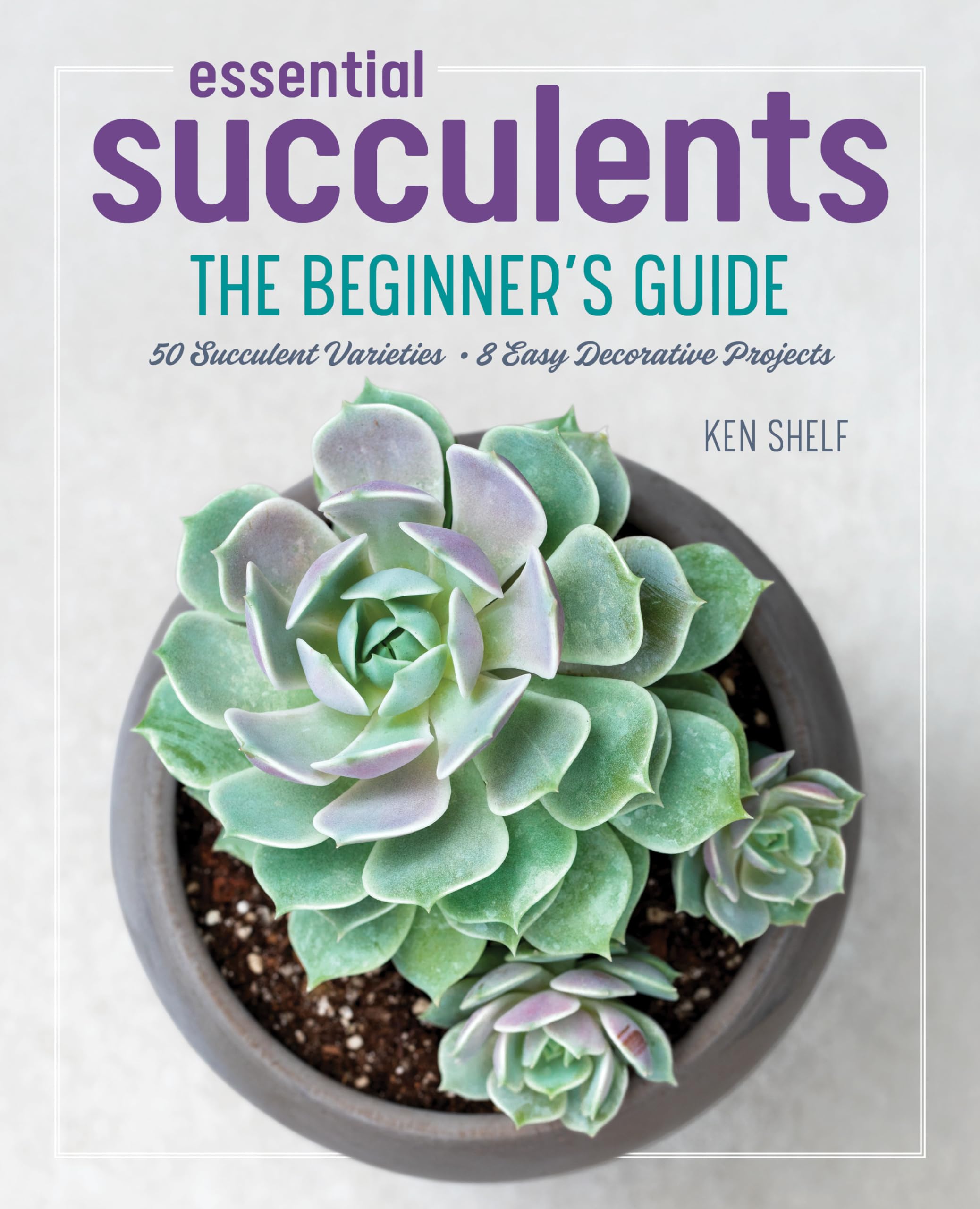 Essential Succulents Garden & Plants