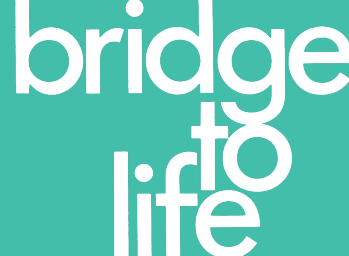 Bridge to Life (Green) 25-Pack: Green Color Social Sciences