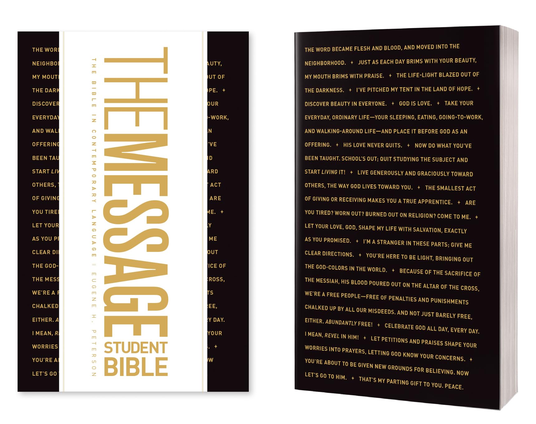 Product Image: The Message Student Bible (Softcover)