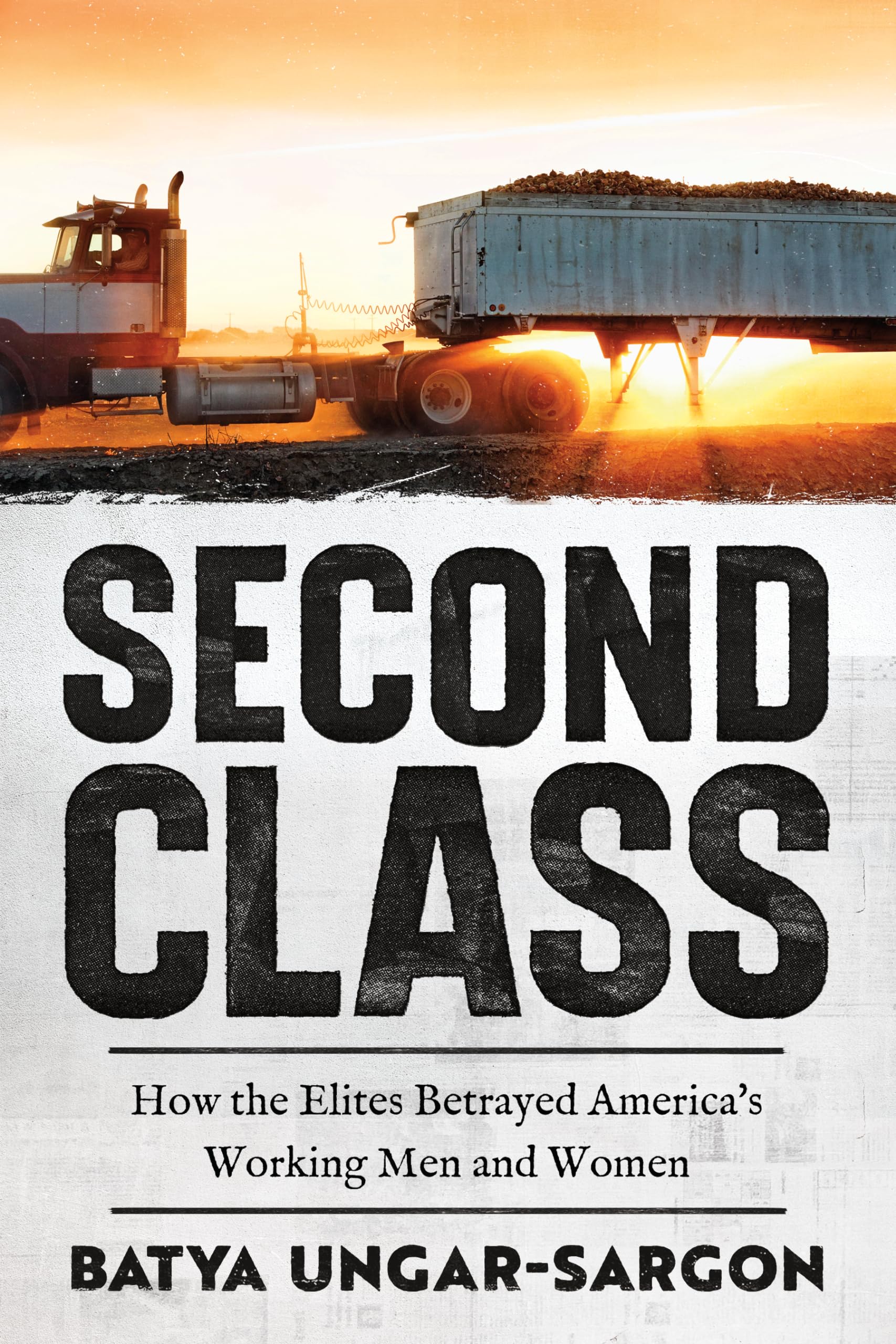 Second Class: How the Elites Betrayed America's Working Men and Women Books