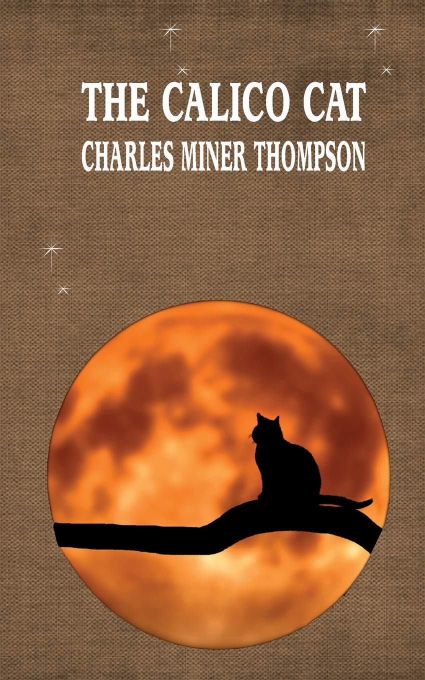 The Calico Cat (Delightful Traditional Stories Collection, Band 21) Action & Adventure