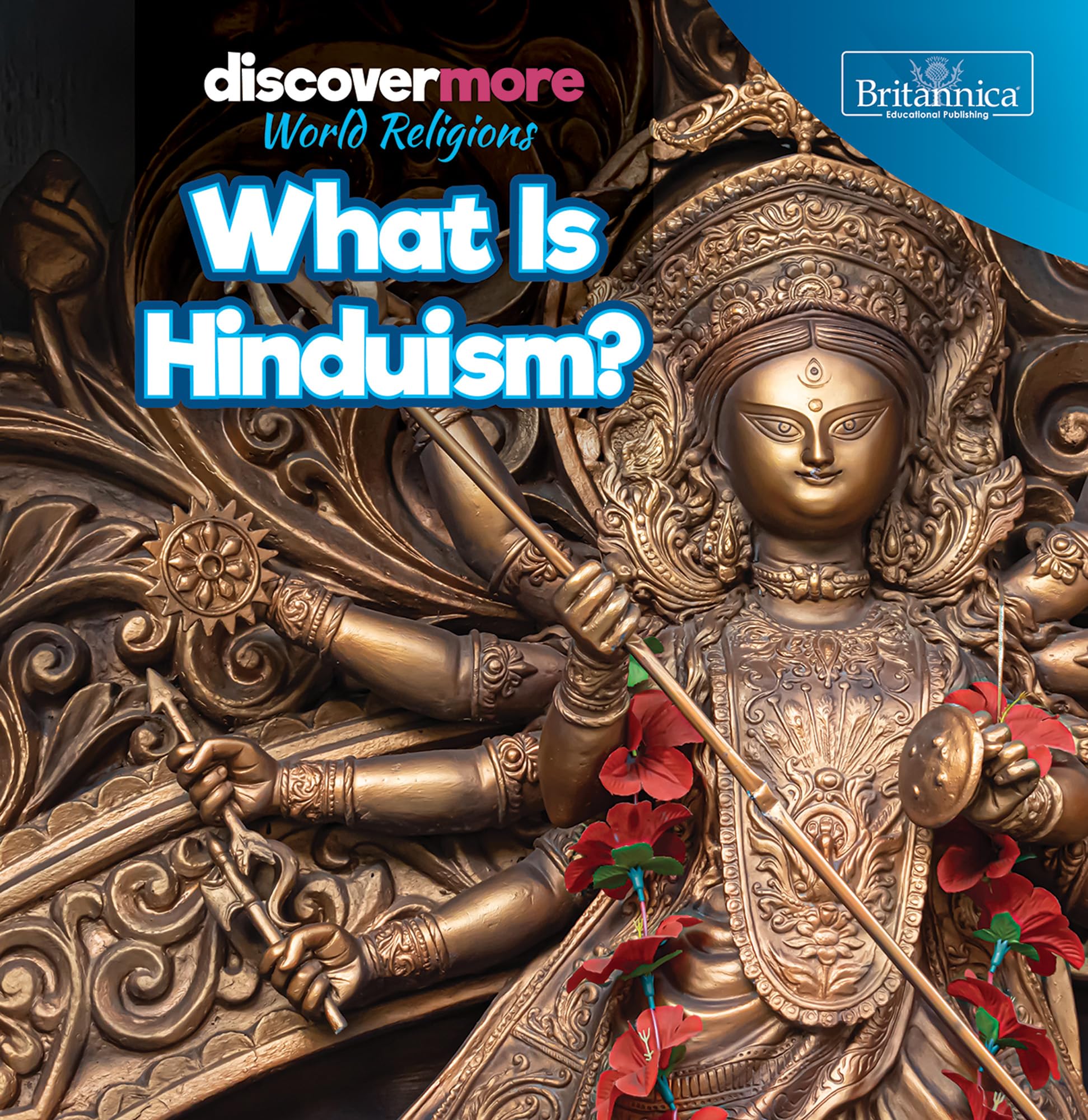 What Is Hinduism? (Discover More: World Religions) Non-fiction