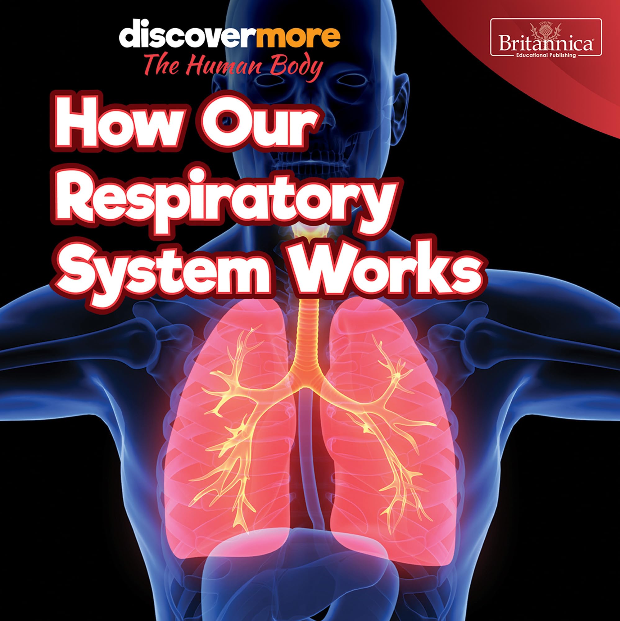 How Our Respiratory System Works (Discover More: The Human Body) Non-fiction