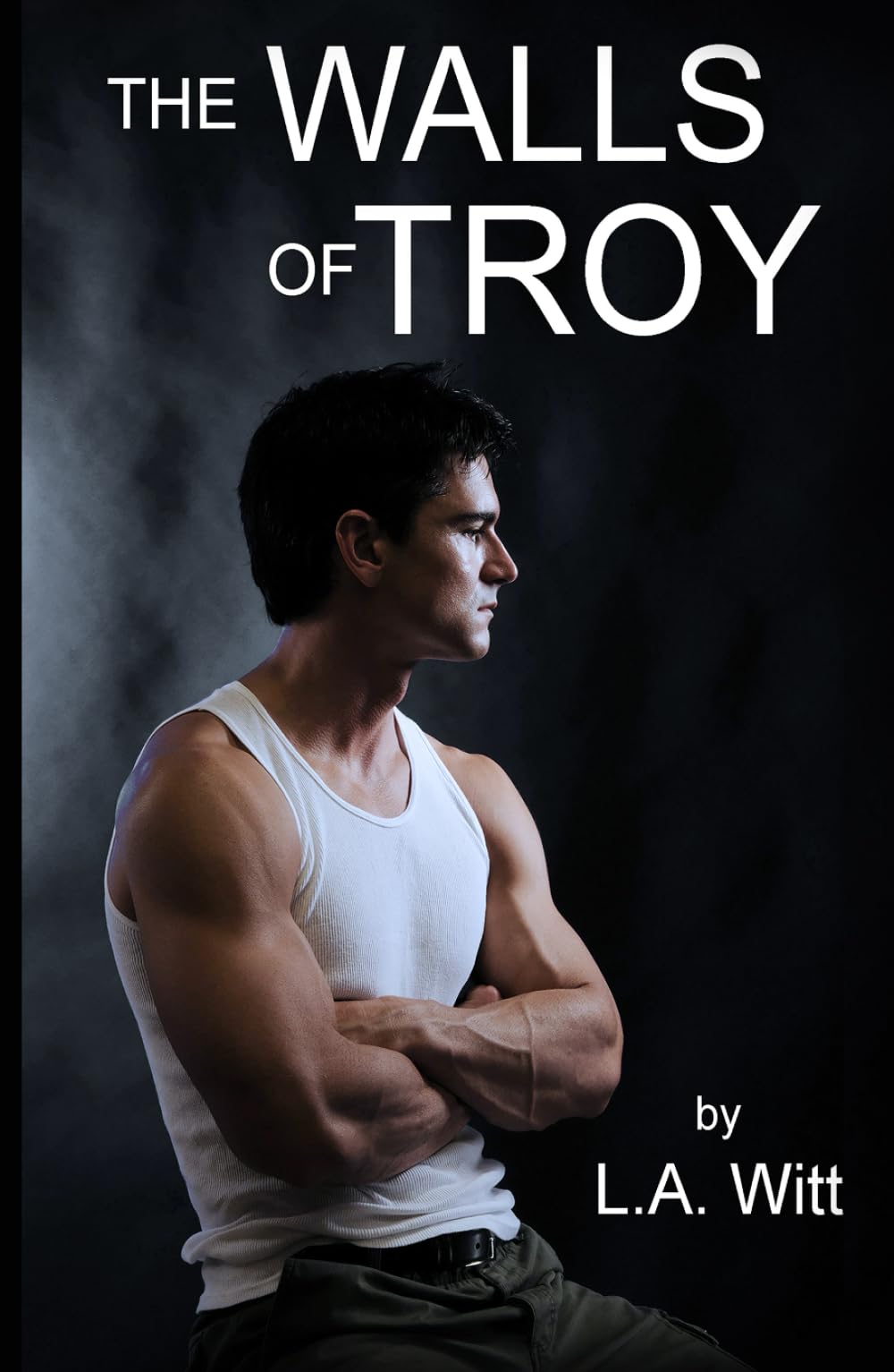 The Walls of Troy Romantic Thrillers
