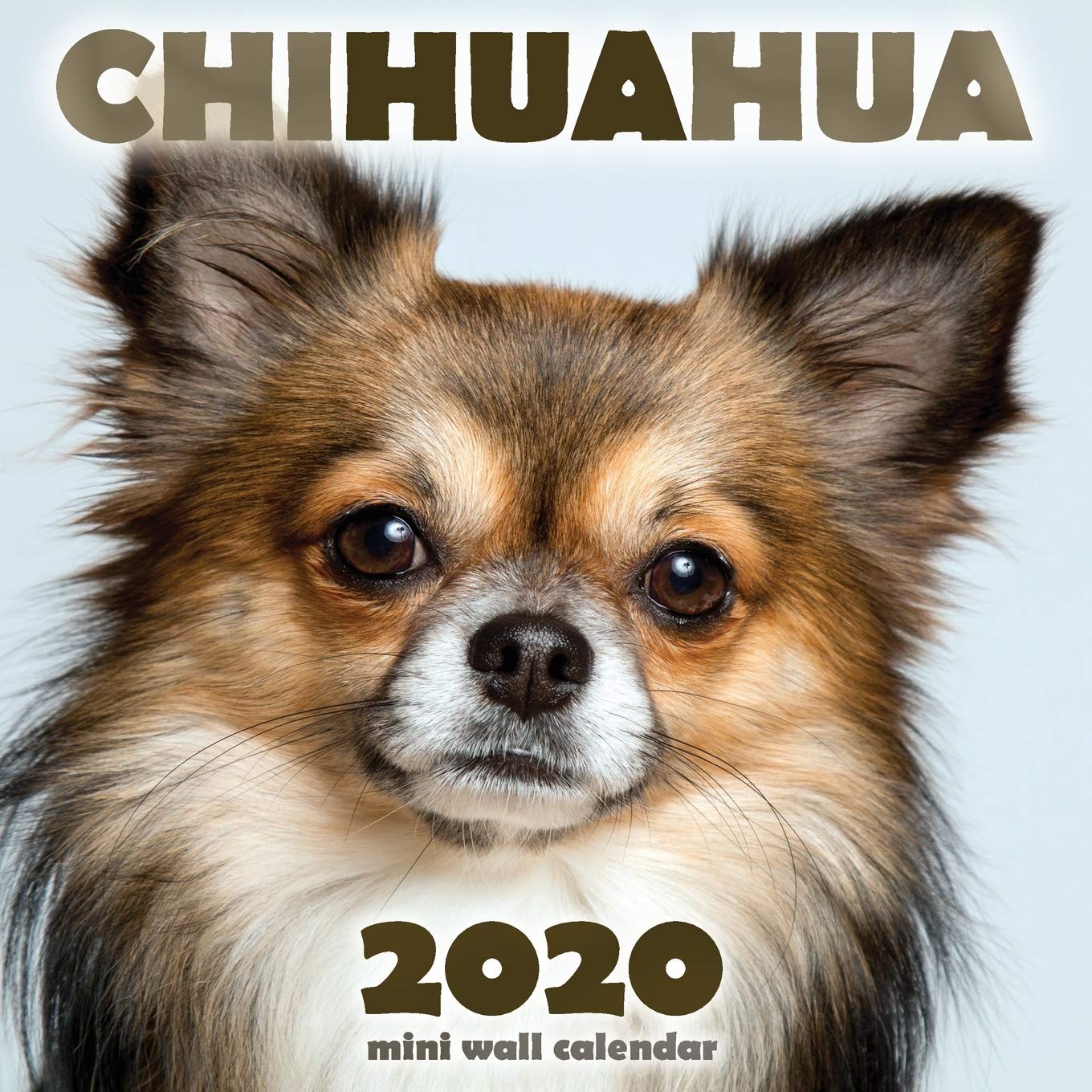 Chihuahua 2020 Mini Wall Calendar book