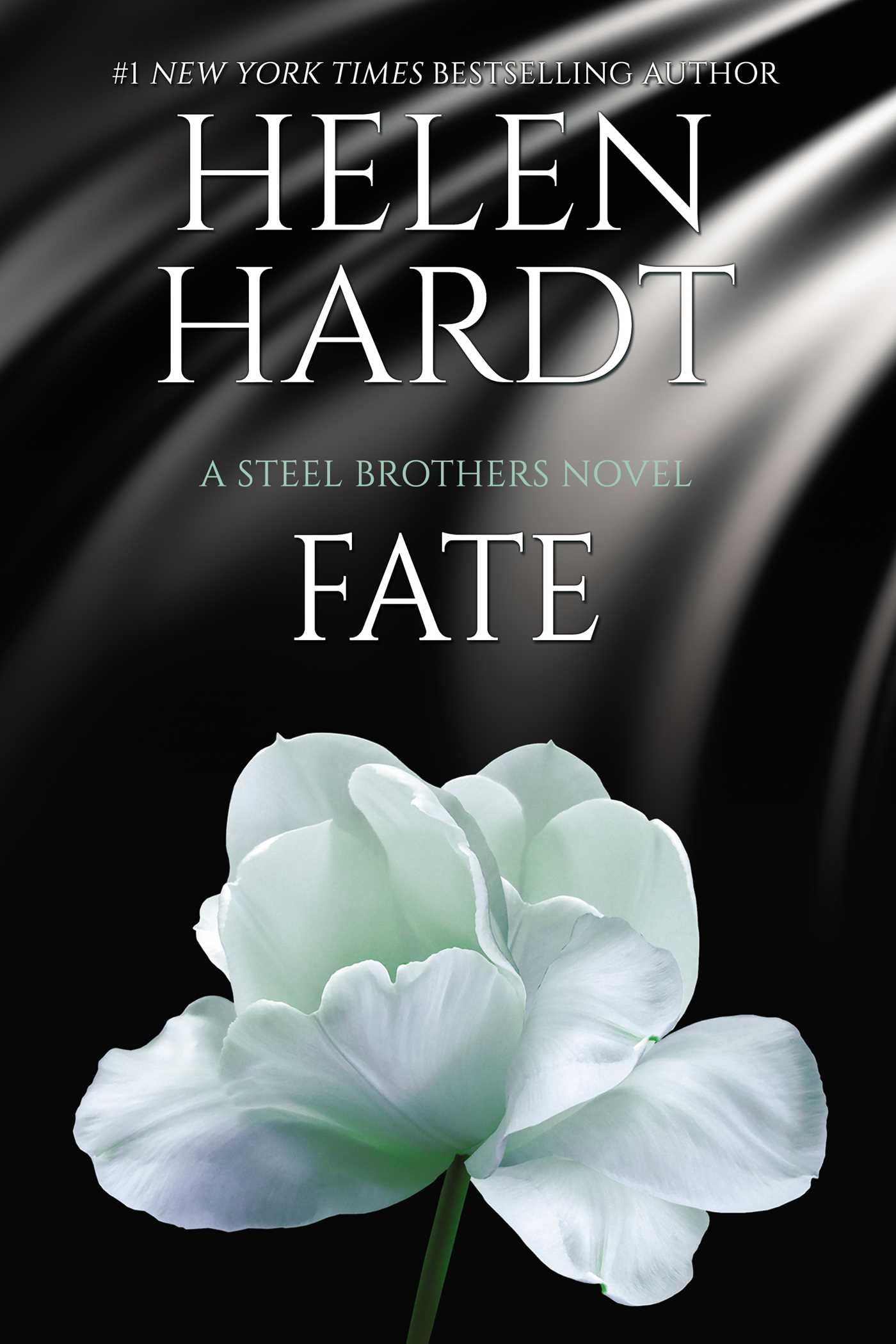 Fate (Volume 13) (Steel Brothers Saga, Band 13) Contemporary literature