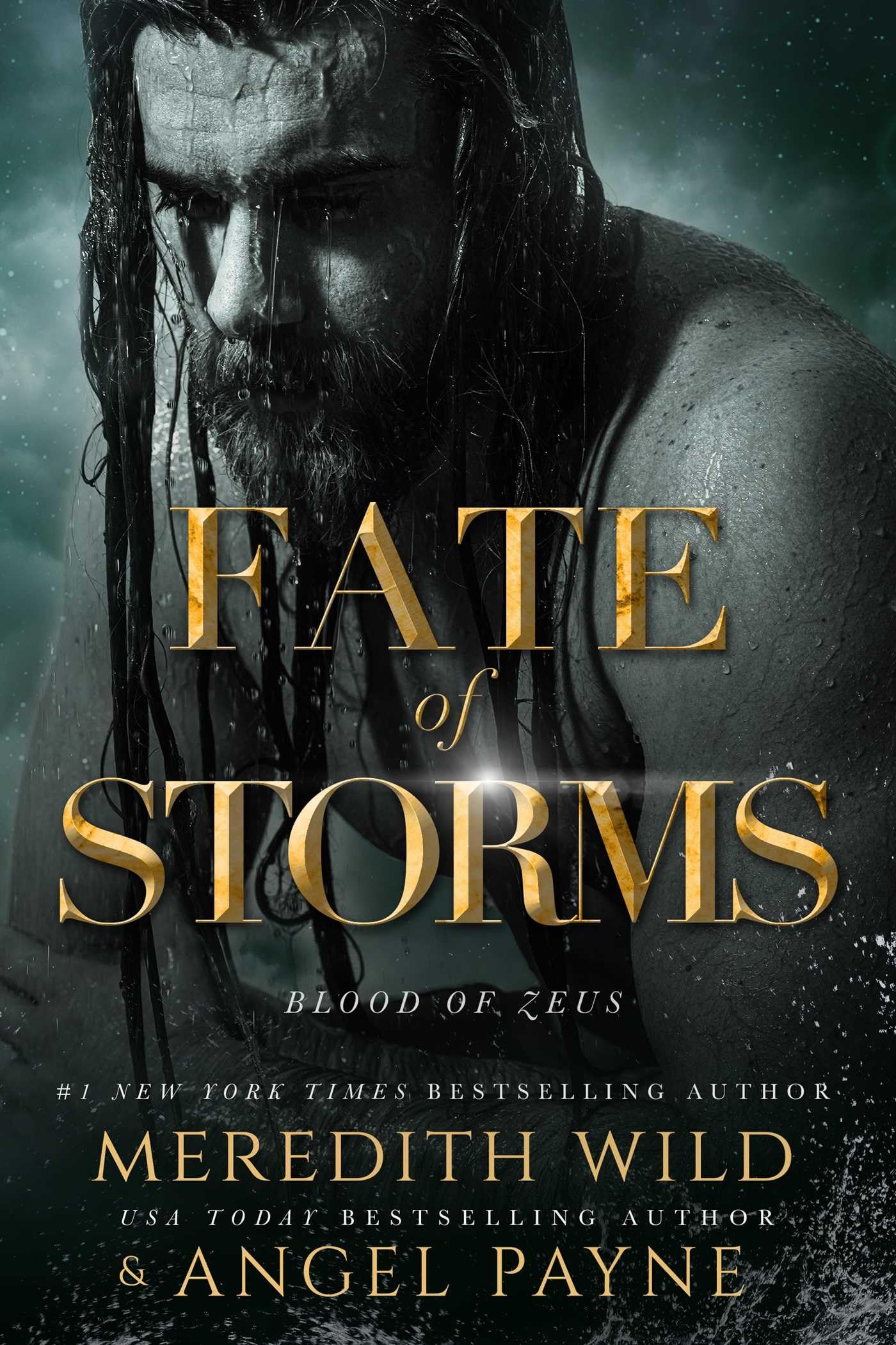 Fate of Storms Urban Fantasy Books
