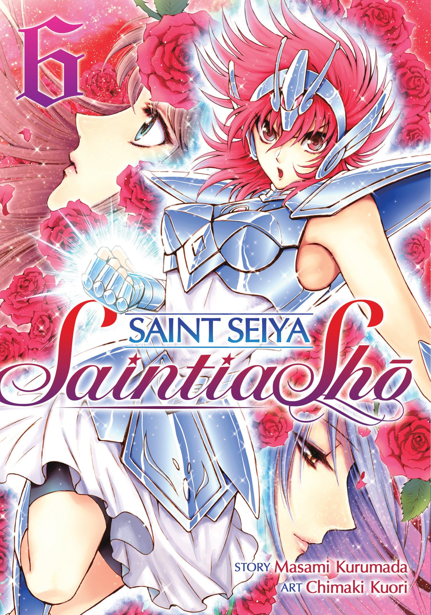 Saint Seiya Saintia Sho 6 book