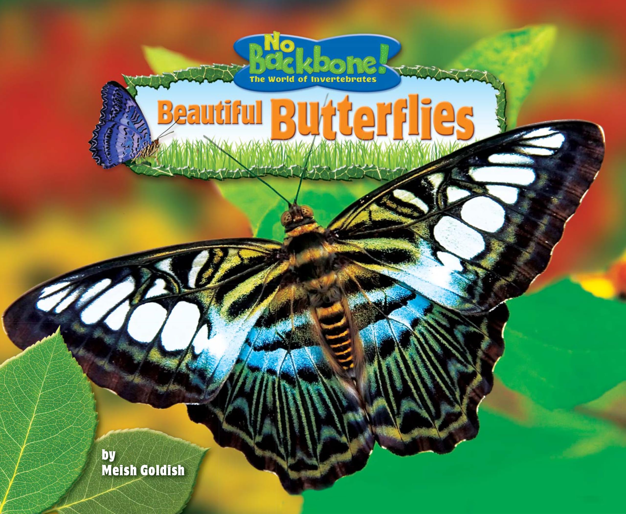 Beautiful Butterflies (No Backbone! Insects) Non-fiction