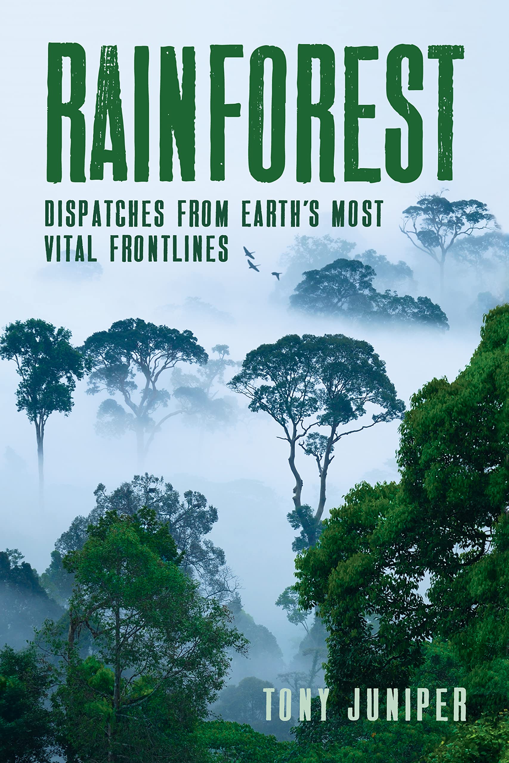 Rainforest Geology & Geography