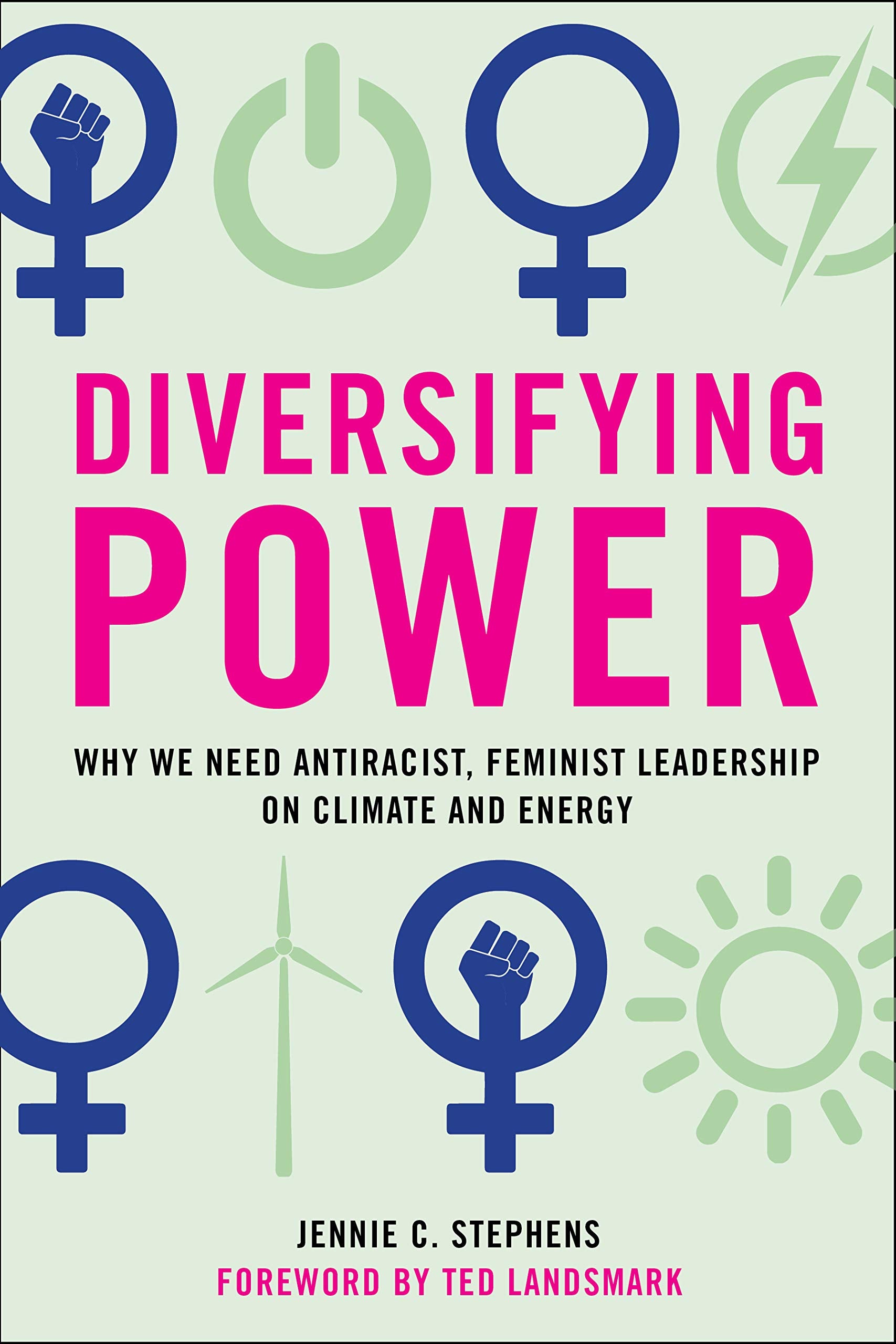 Diversifying Power: Why We Need Antiracist, Feminist Leadership on Climate and Energy Books