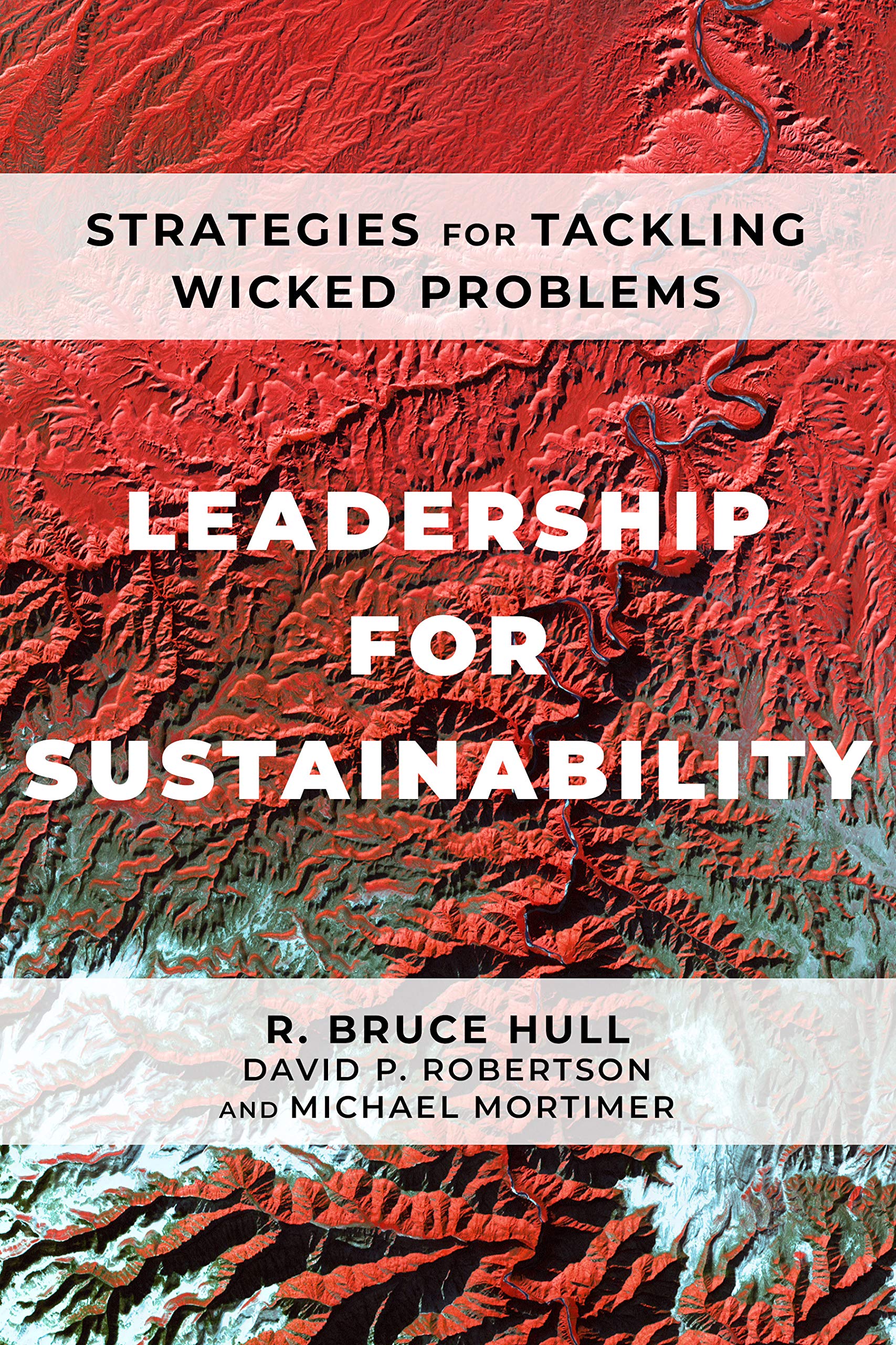 Leadership for Sustainability: Strategies for Tackling Wicked Problems Business, Finance & Career