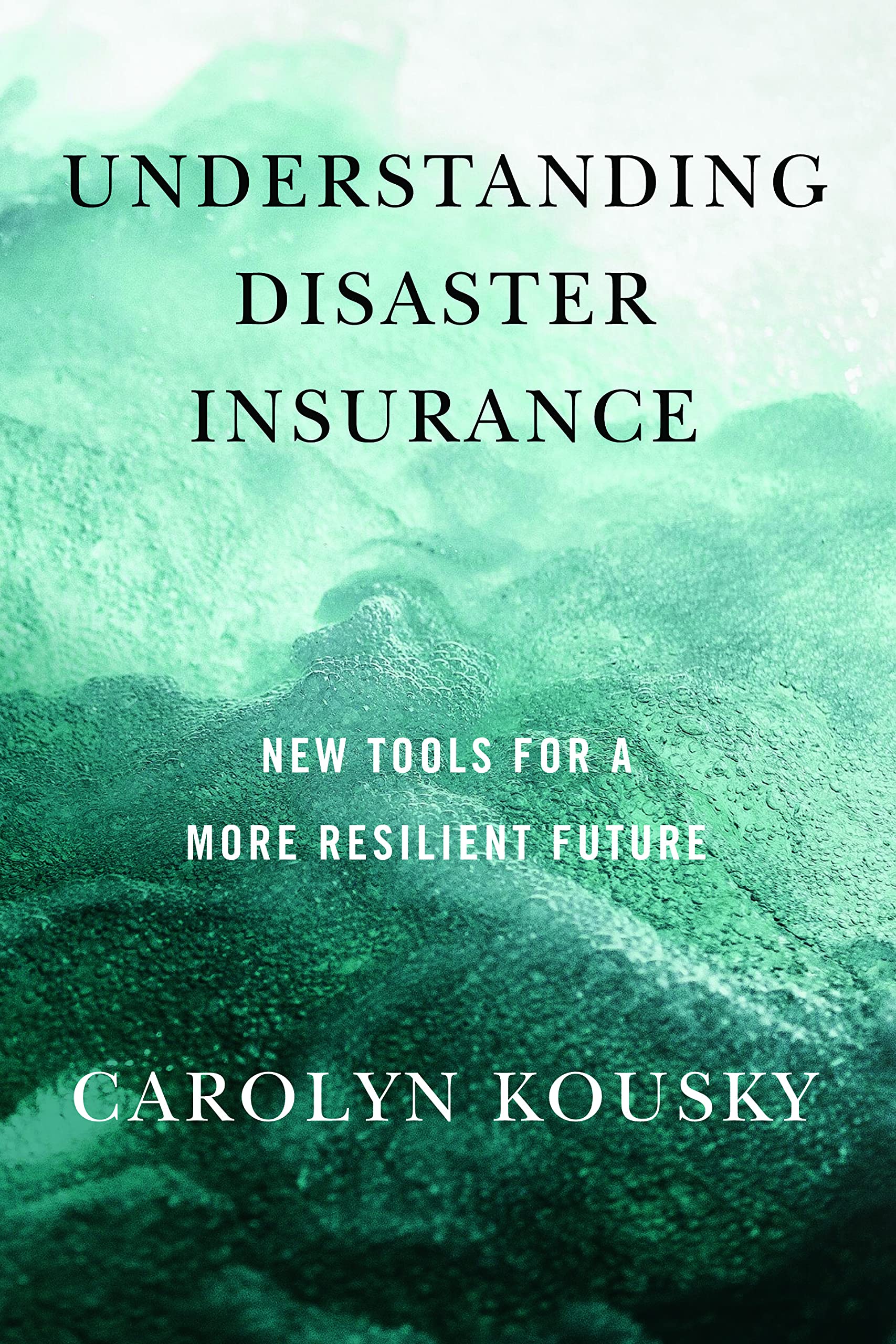Understanding Disaster Insurance: New Tools For a More Resilient Future Books