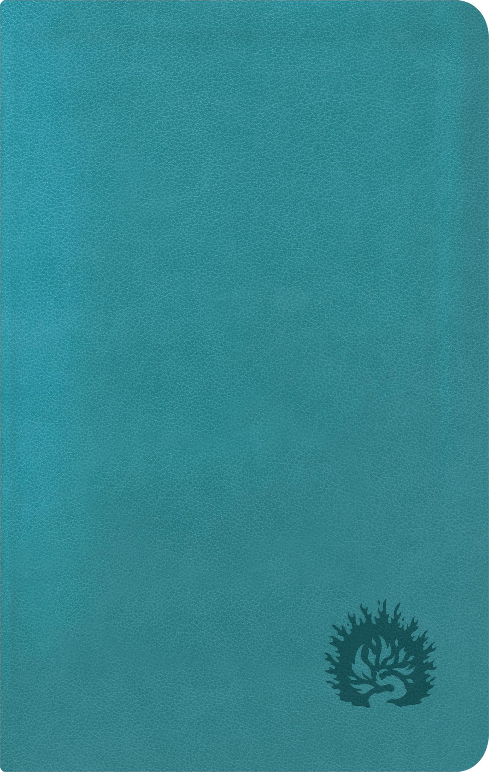 ESV Reformation Study Bible, Condensed Edition - Turquoise, Leather-Like Religion & Esotericism