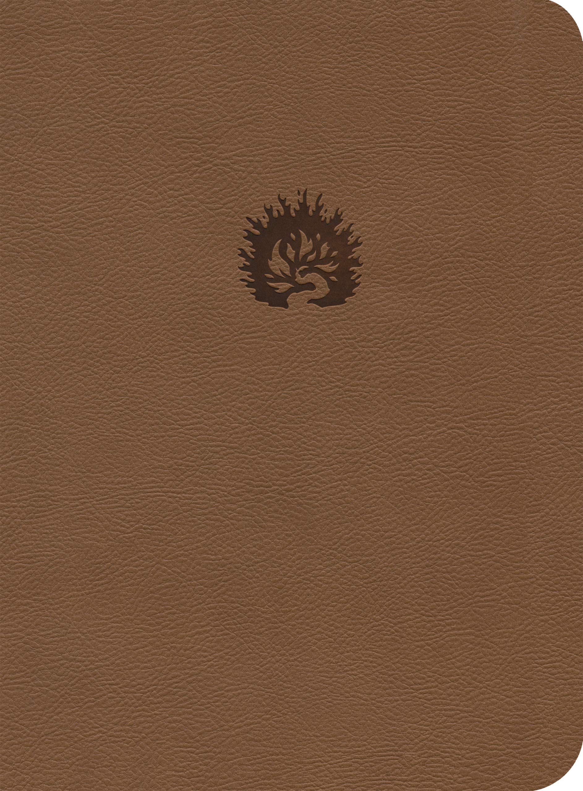 Lbla La Biblia de Estudio de la Reforma, Símil Piel, Café Claro, Spanish Edition Religion & Esotericism
