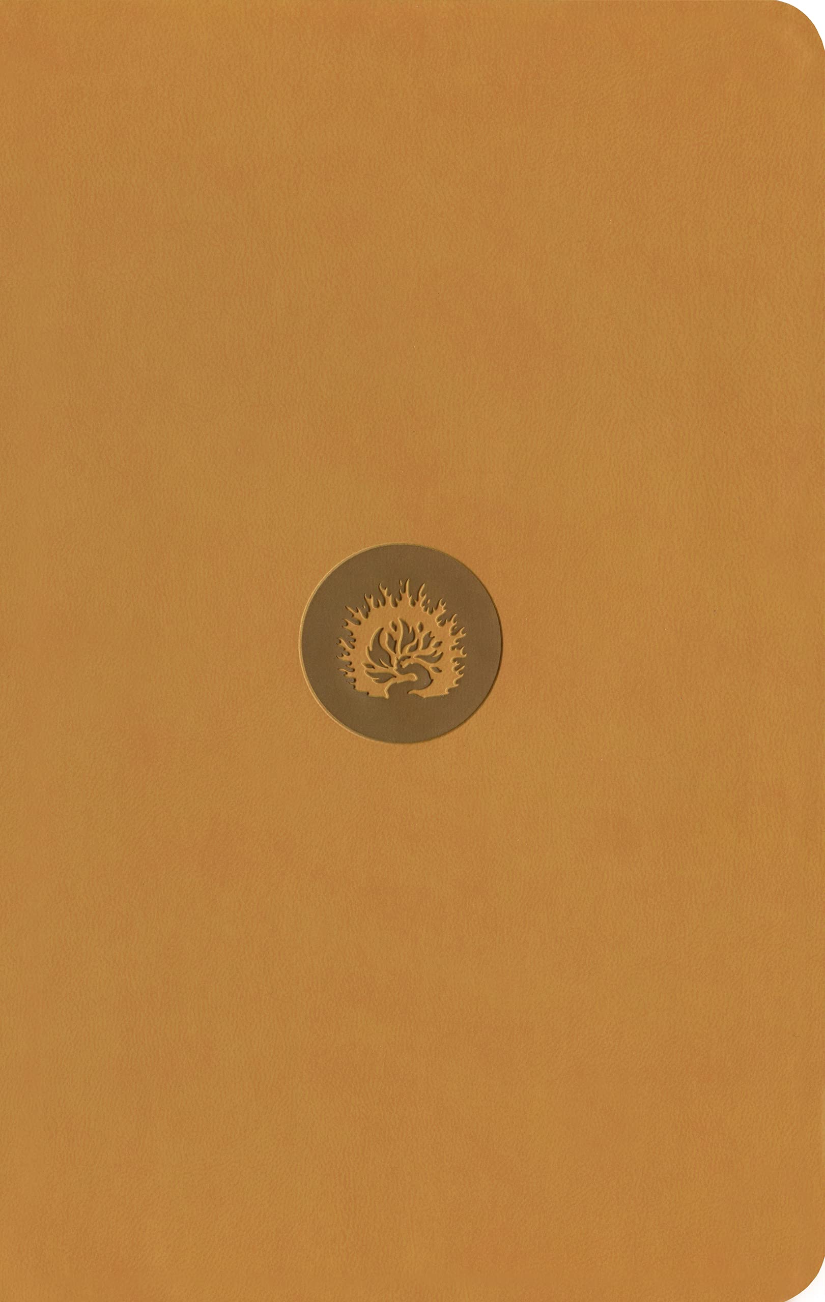 ESV Reformation Study Bible, Student Edition - Marigold, Leather-Like Religion & Esotericism