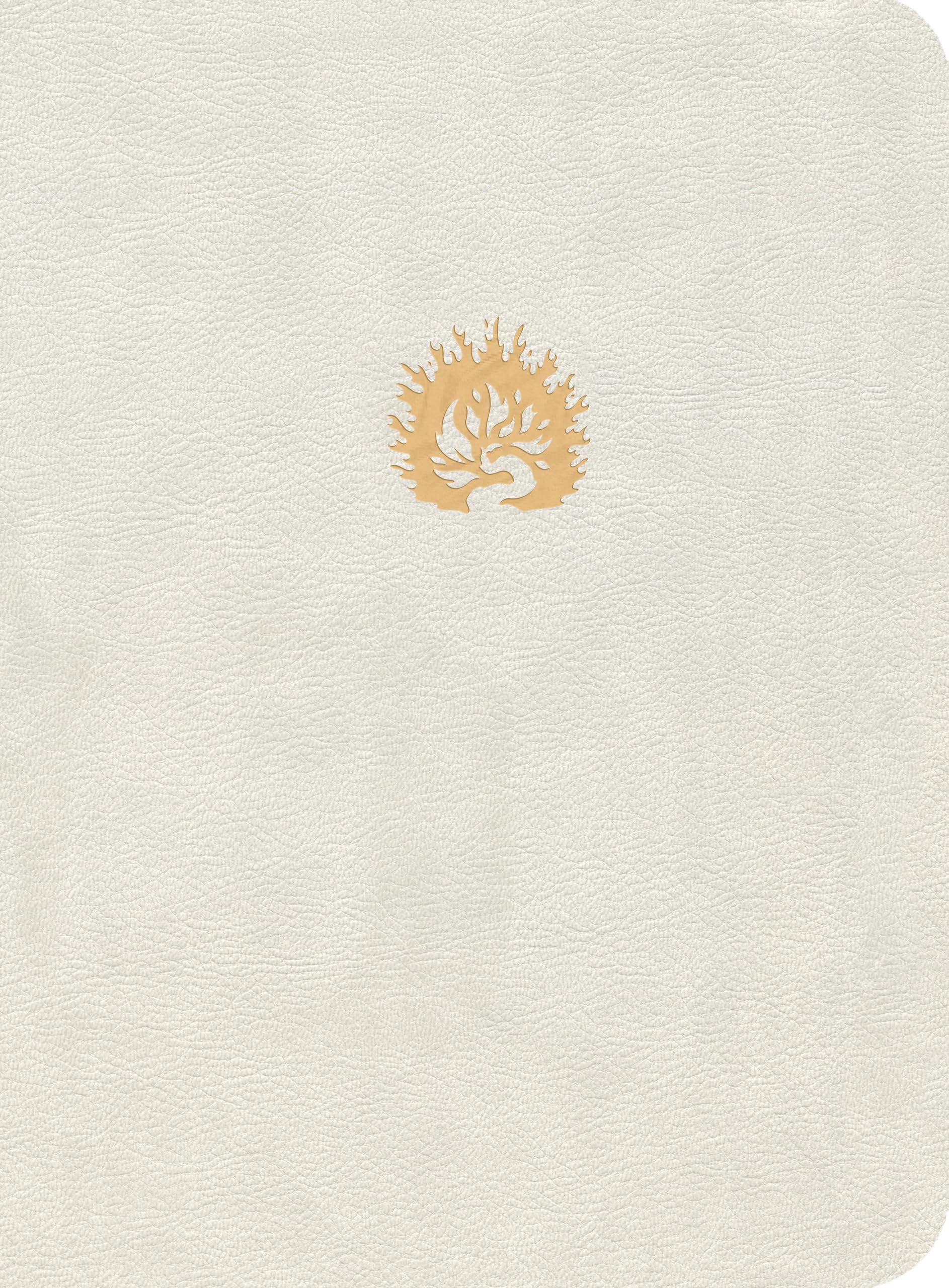 Segond révisée 'La Colombe', Bible d'étude de la foi réformé Religion & Esotericism
