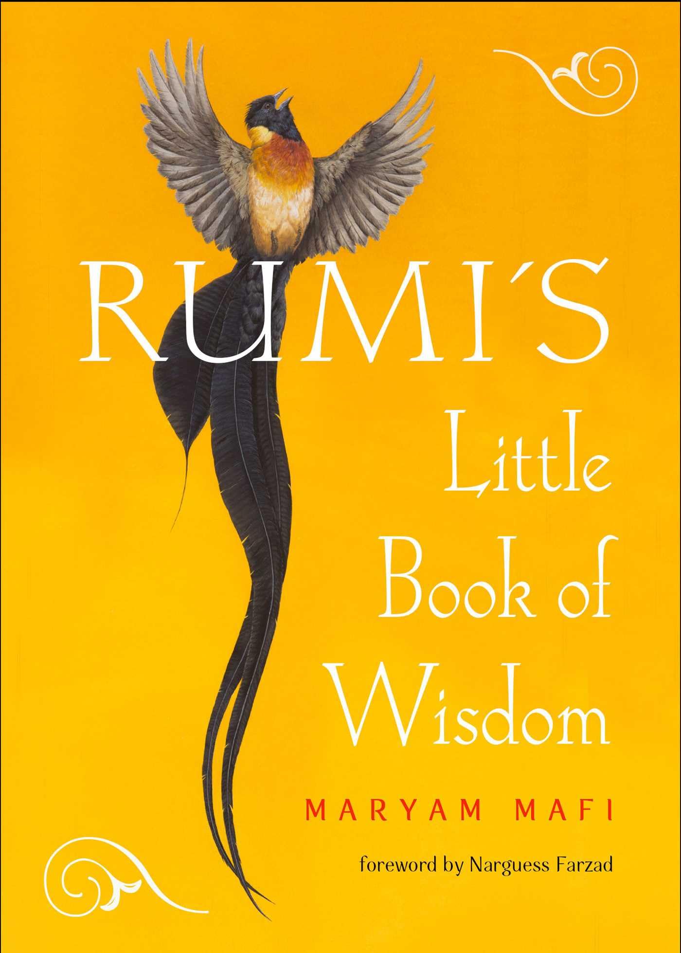 Rumi's Little Book of Wisdom Poetry