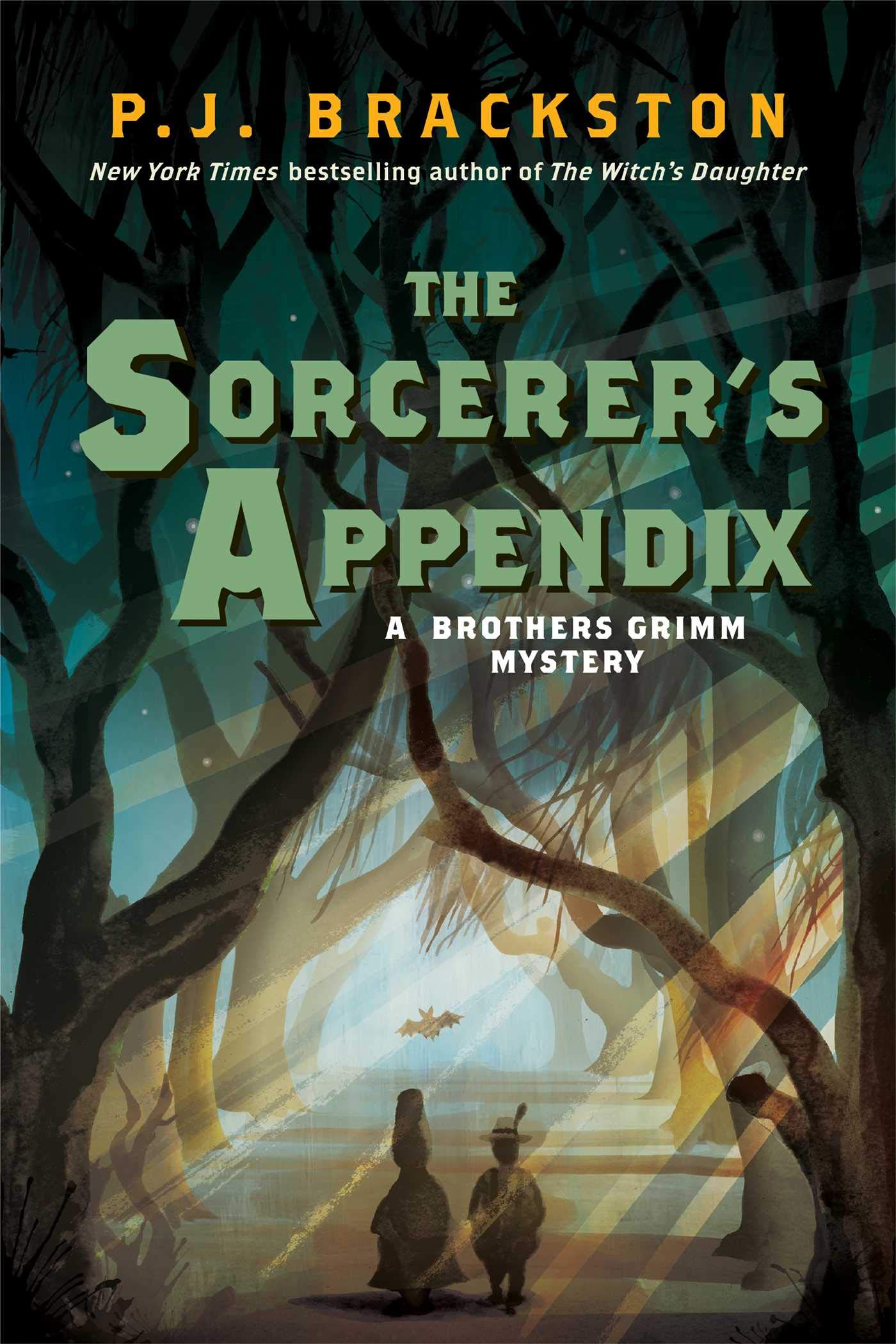 The Sorcerer's Appendix: A Brothers Grimm Mystery book