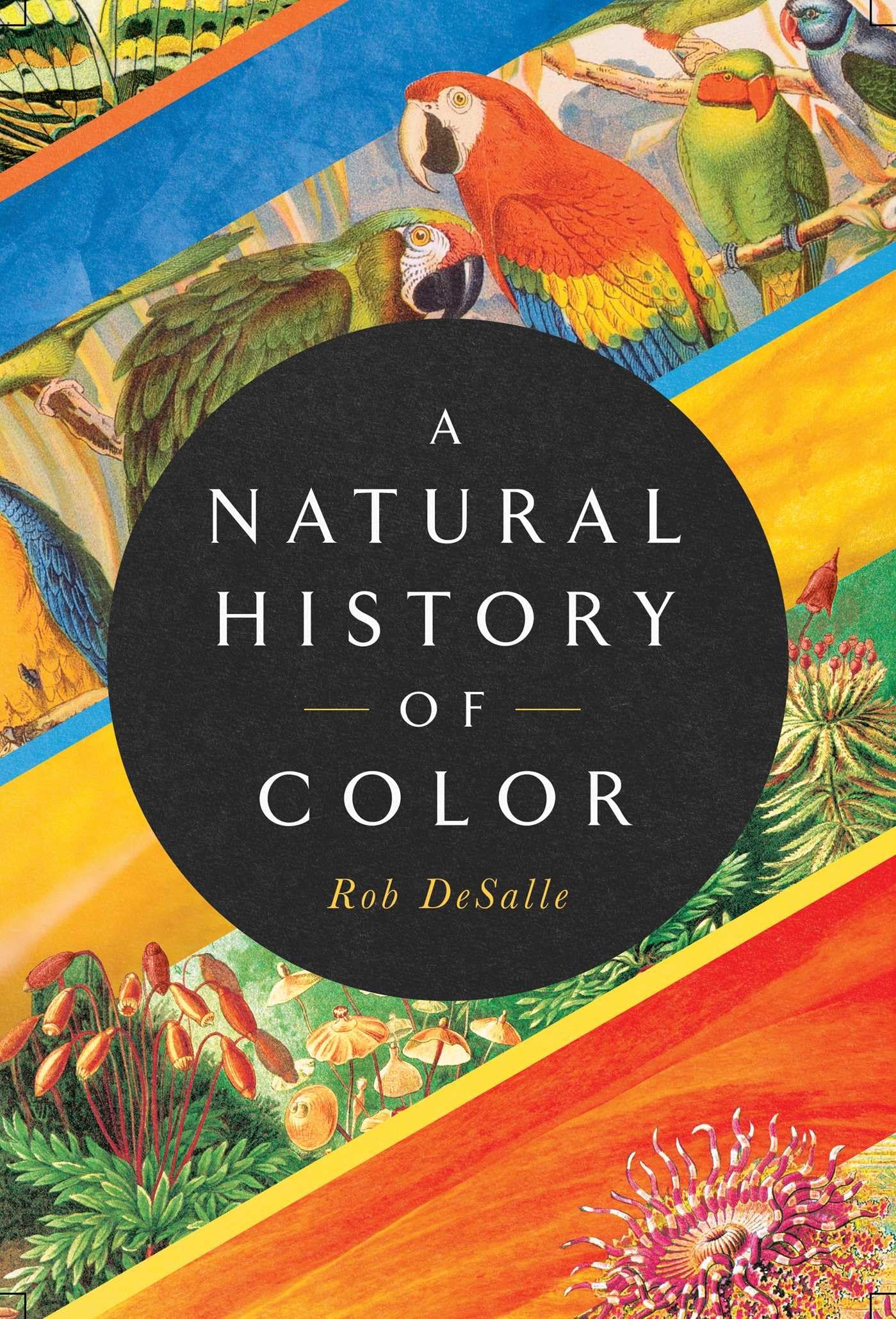 A Natural History of Color: The Science Behind What We See and How We See it Medicine