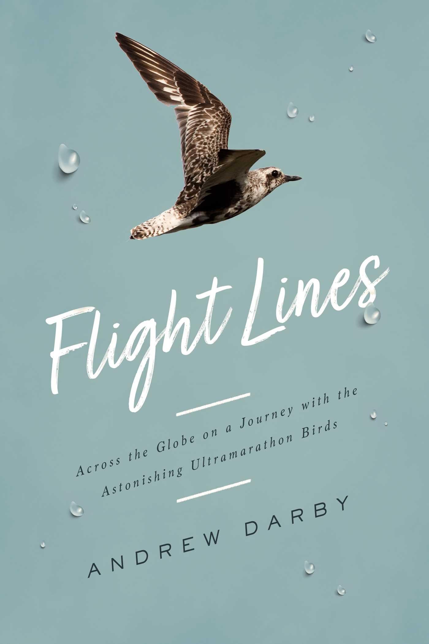 Flight Lines: Across the Globe on a Journey with the Astonishing Ultramarathon Birds Leisure, Home & Garden