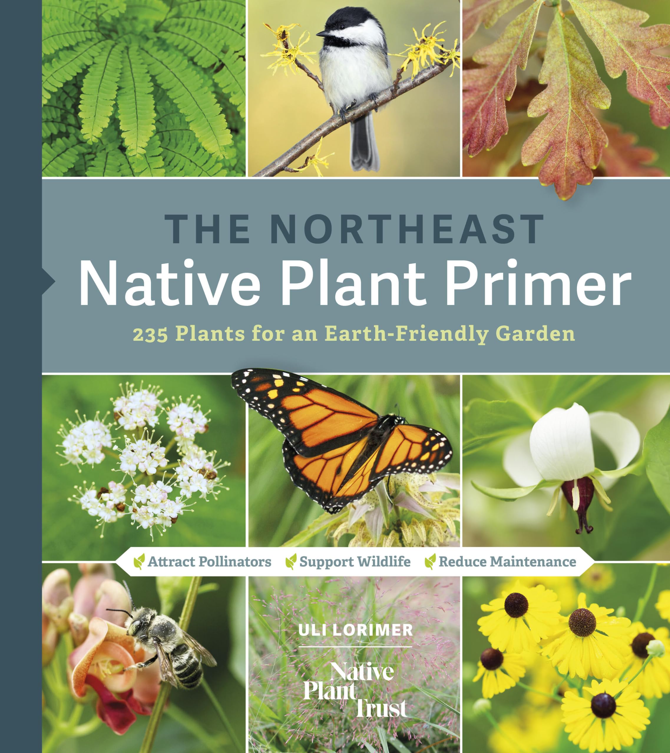 The Northeast Native Plant Primer: 235 Plants for an Earth-Friendly Garden Garden & Plants
