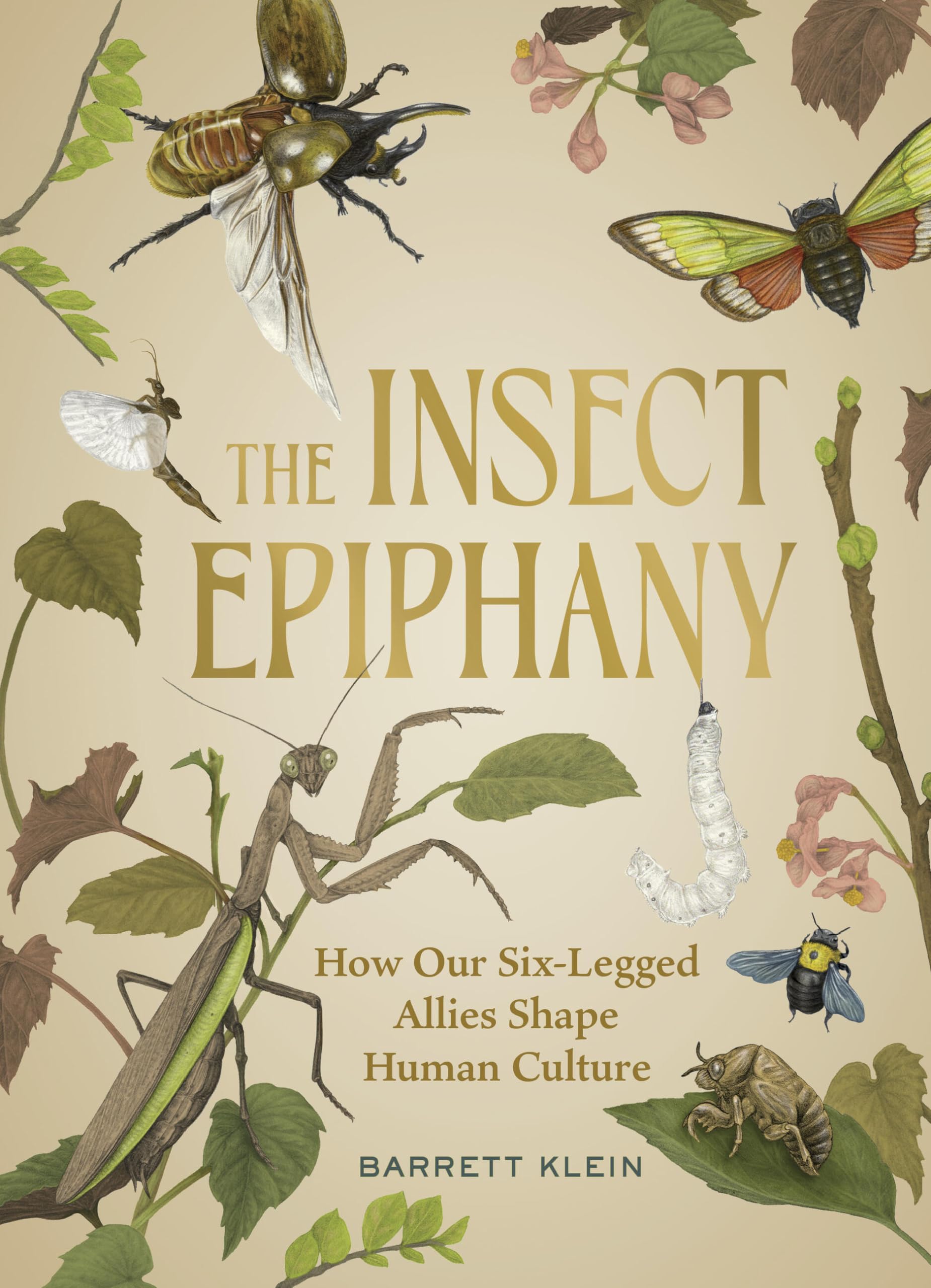 The Insect Epiphany: How Our Six-Legged Allies Shape Human Culture Mathematics