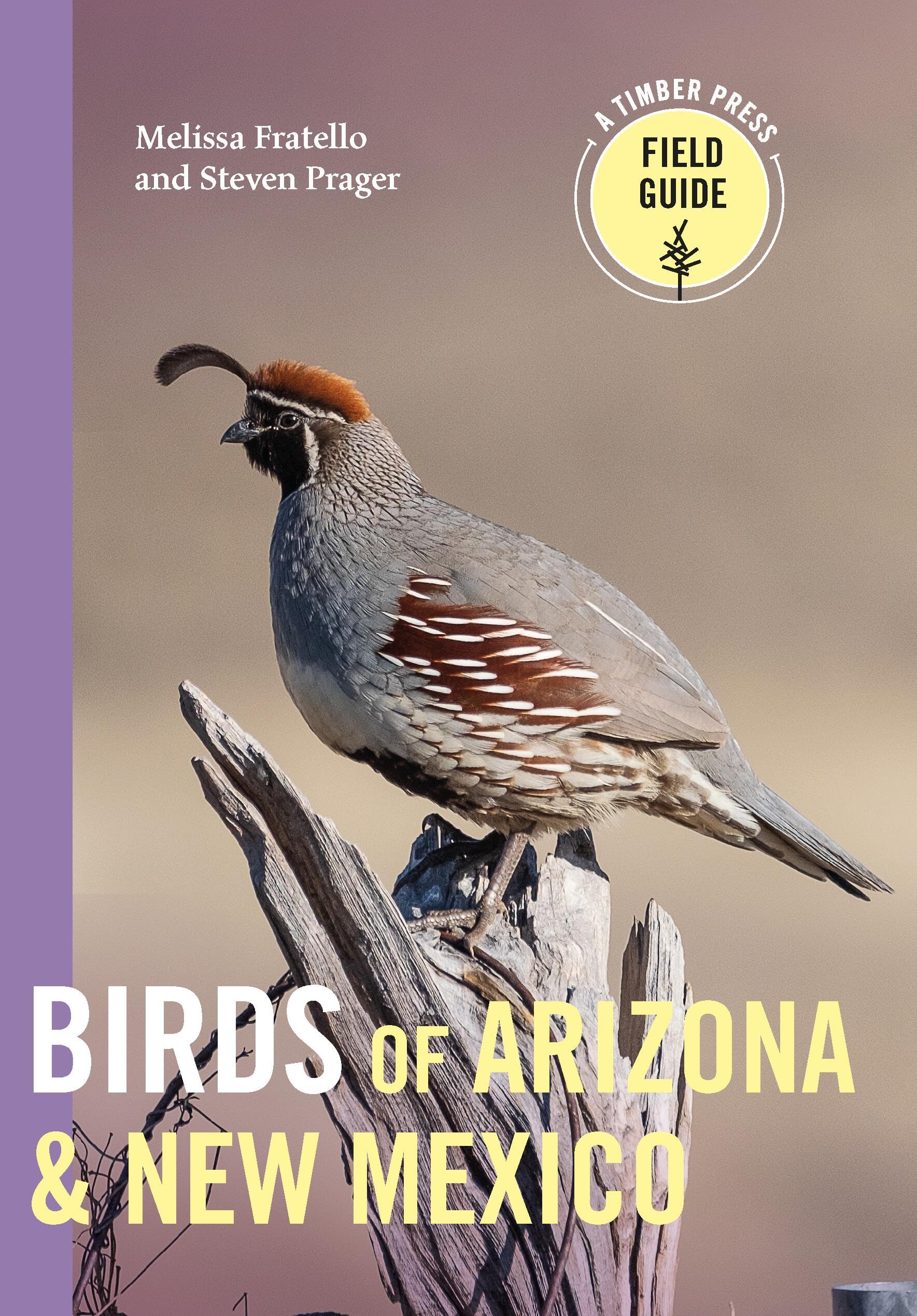 Birds of Arizona and New Mexico (A Timber Press Field Guide) Mathematics
