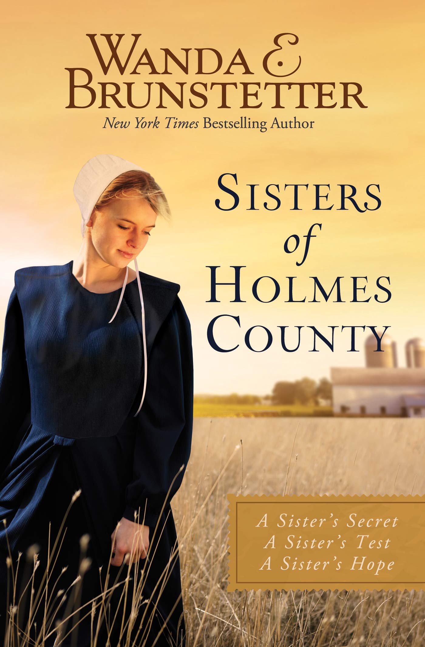 Sisters of Holmes County: A Sister's Secret, a Sister's Test, a Sister's Hope Contemporary literature