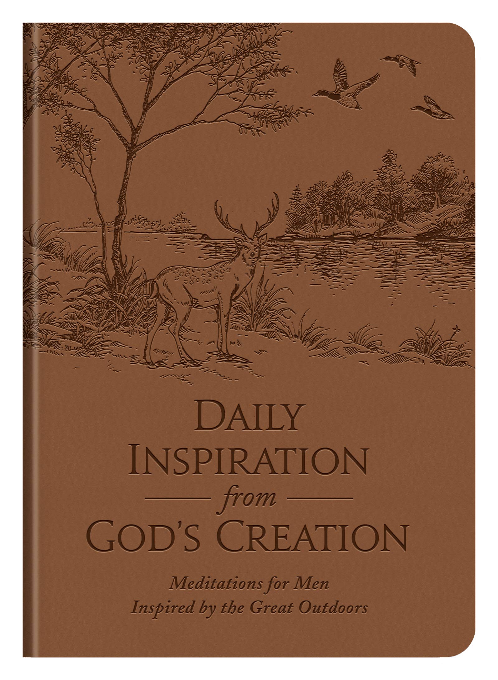 Daily Inspiration from God's Creation: Meditations for Men Inspired by the Great Outdoors Film, Art & Culture