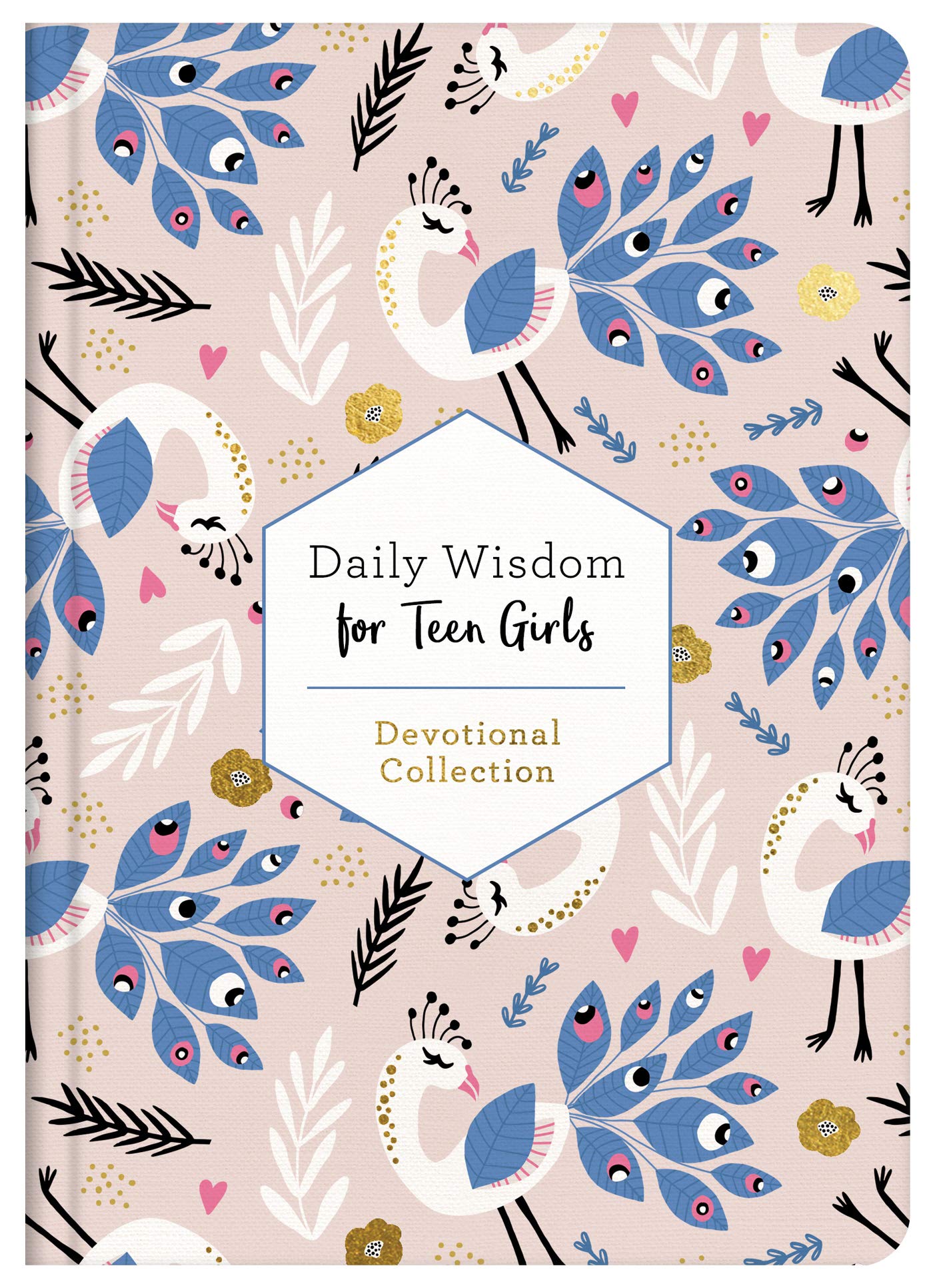 Daily Wisdom for Teen Girls: Devotional Collection Education