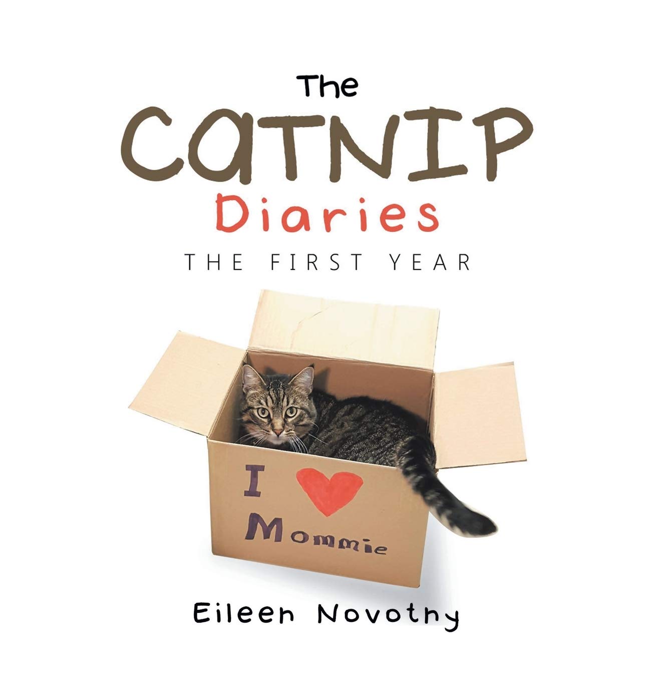The Catnip Diaries: The First Year Mathematics