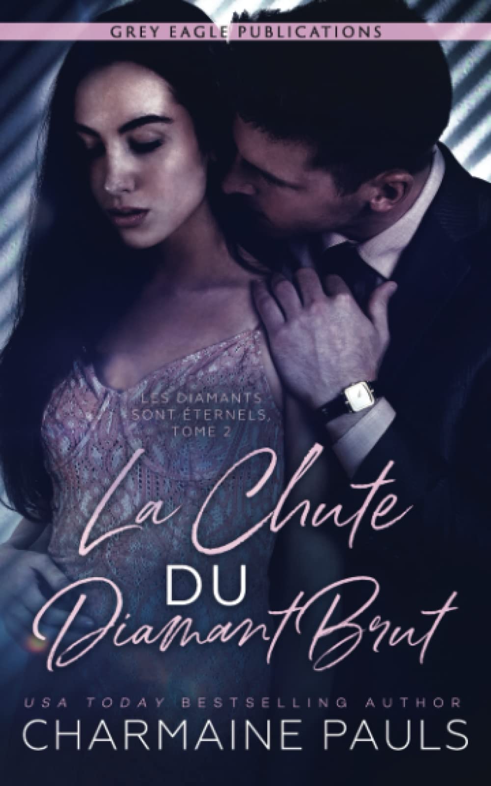 La Chute du diamant brut book