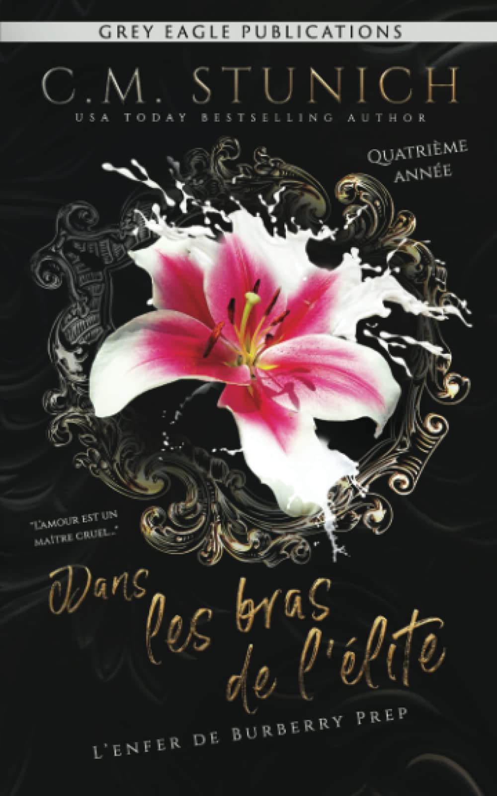 Product Image: Dans les bras de l’élite