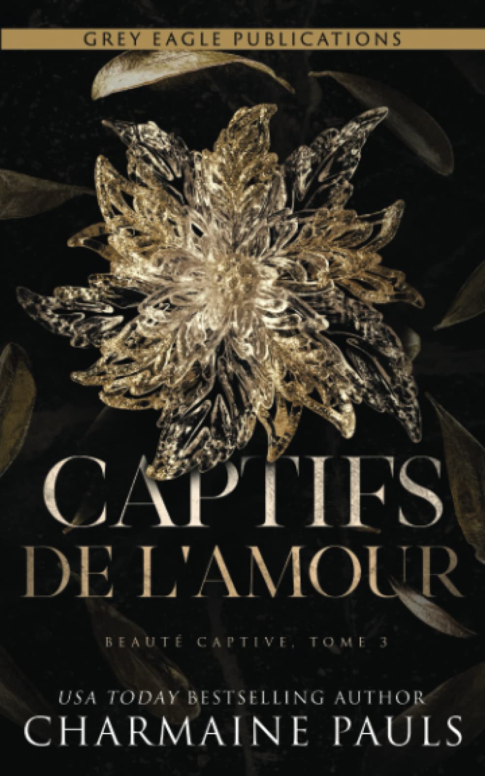 Captifs de l’amour (Beauté captive, Band 3) Romantic Thrillers