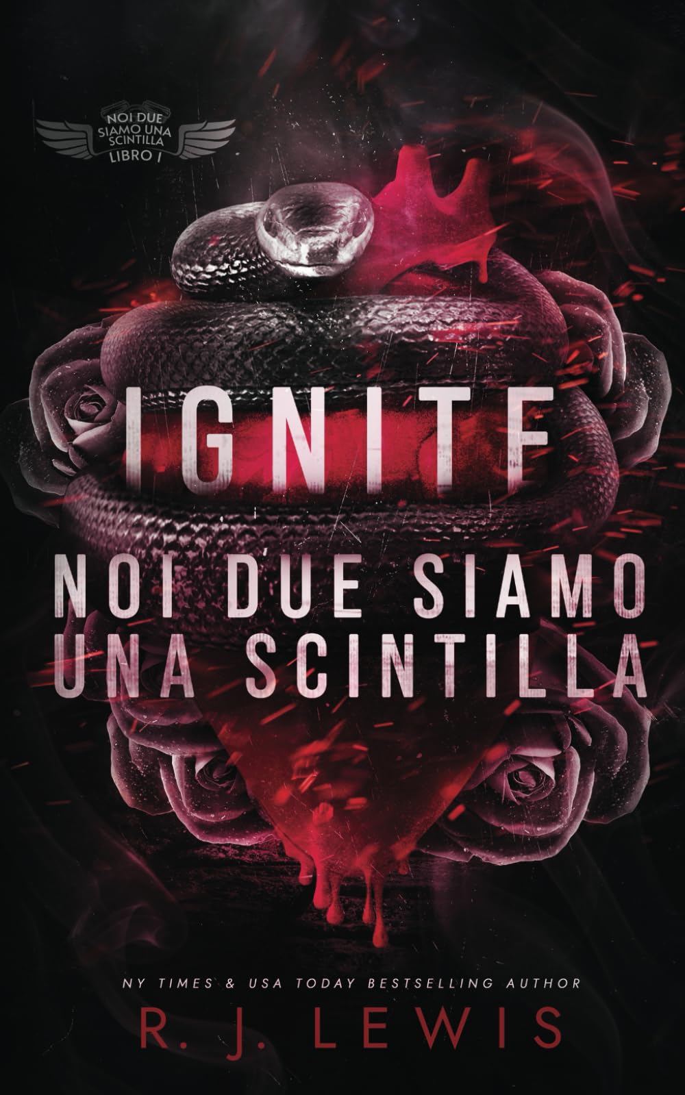 Ignite - Noi due siamo una scintilla book