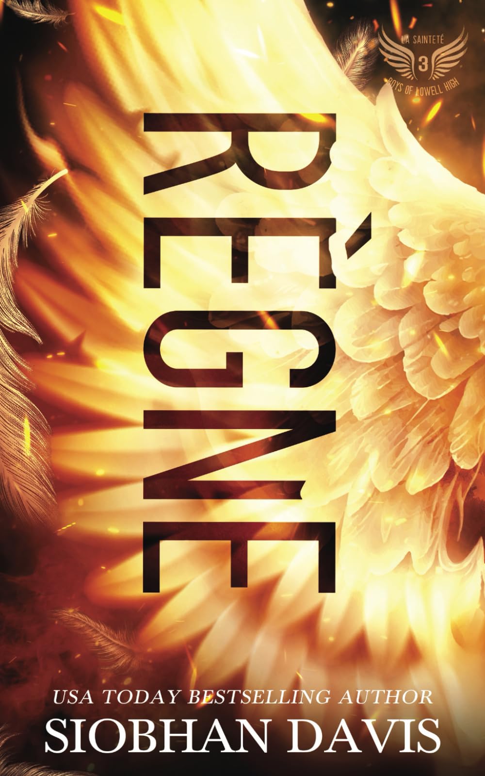 Règne (La Sainteté – Boys of Lowell High, Band 3) Romantic Thrillers