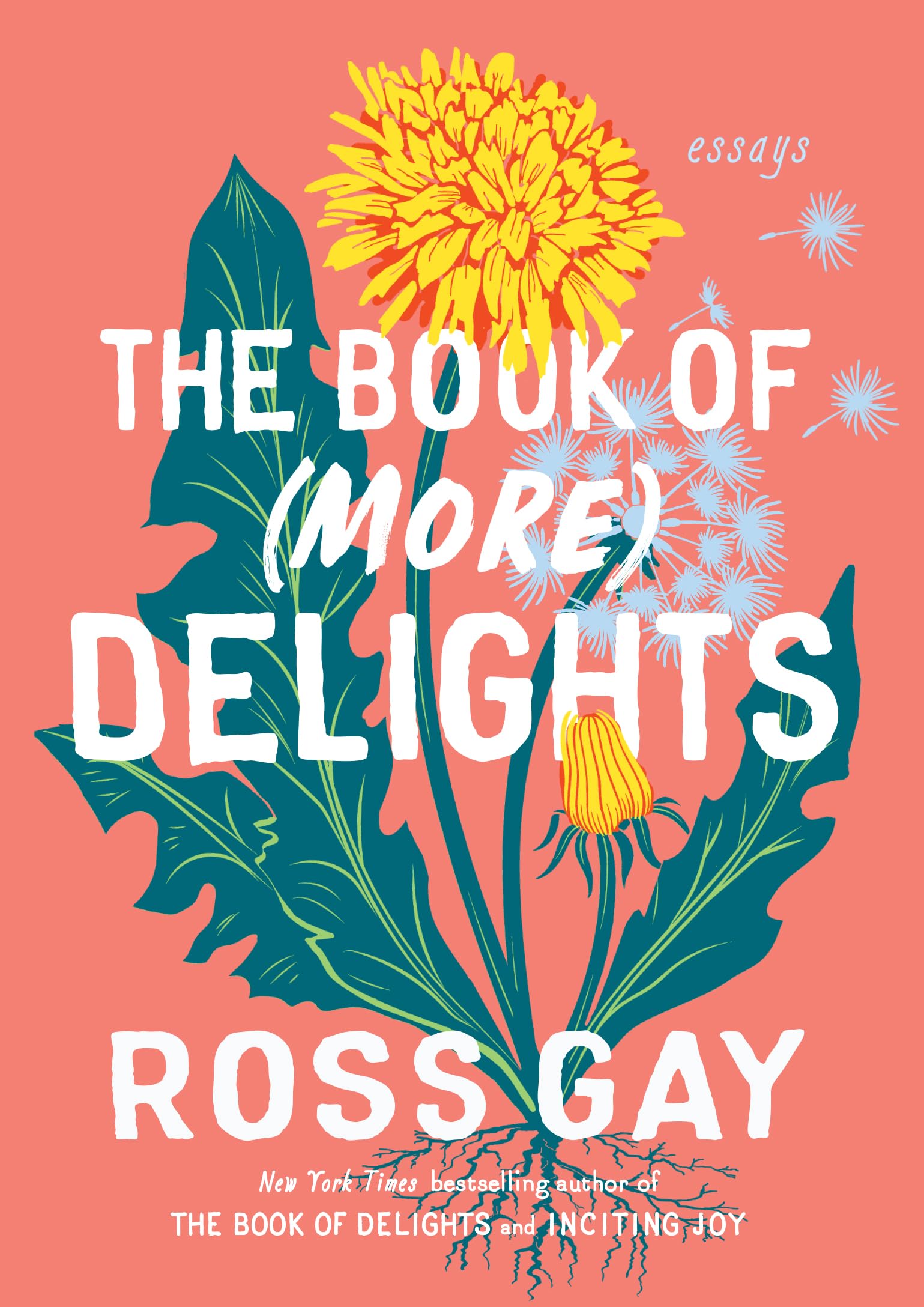 The Book of (More) Delights Books