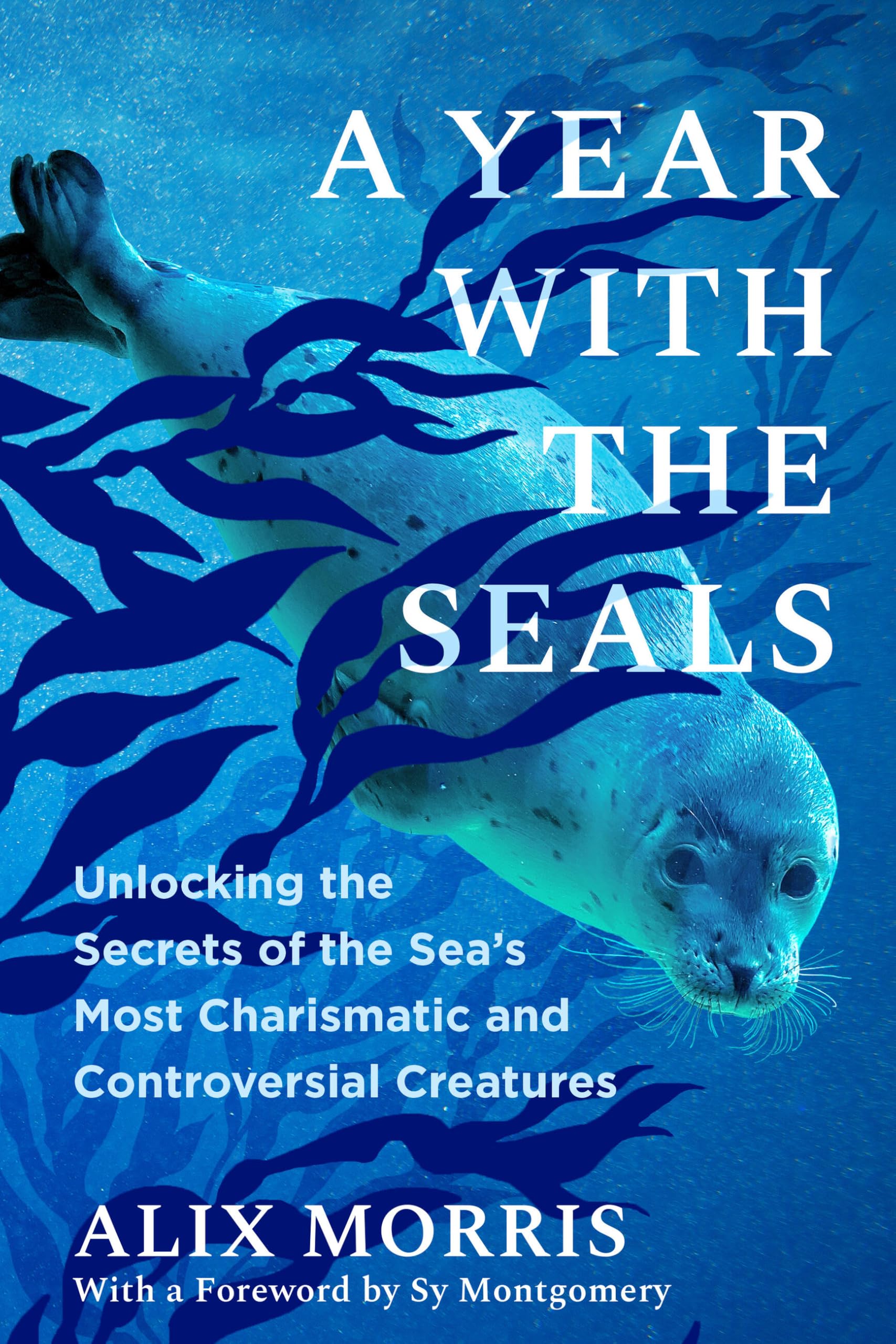 A Year with the Seals: Unlocking the Secrets of the Sea's Most Charismatic and Controversial Creatures Mathematics